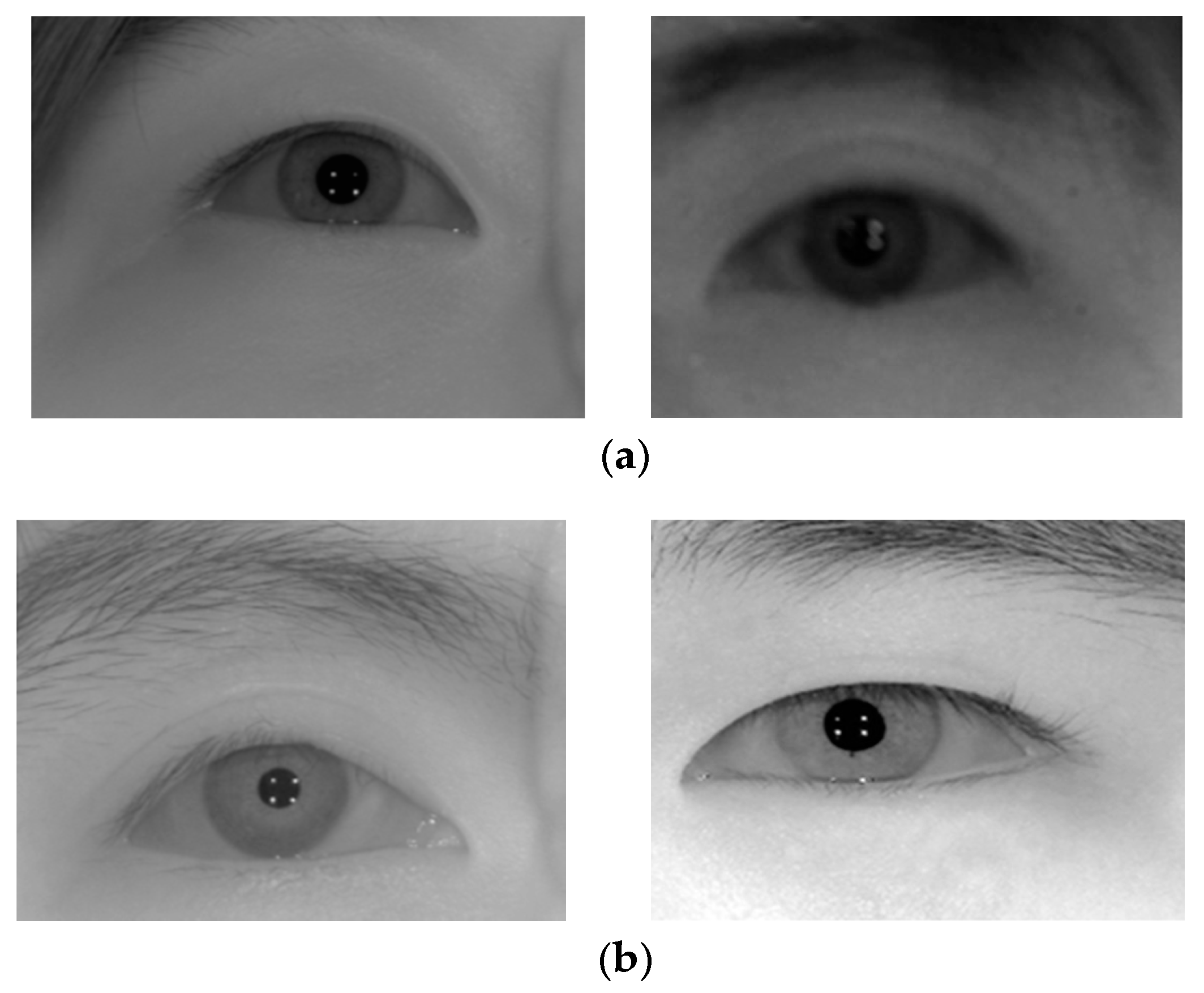Symmetry 09 00086 g009 550