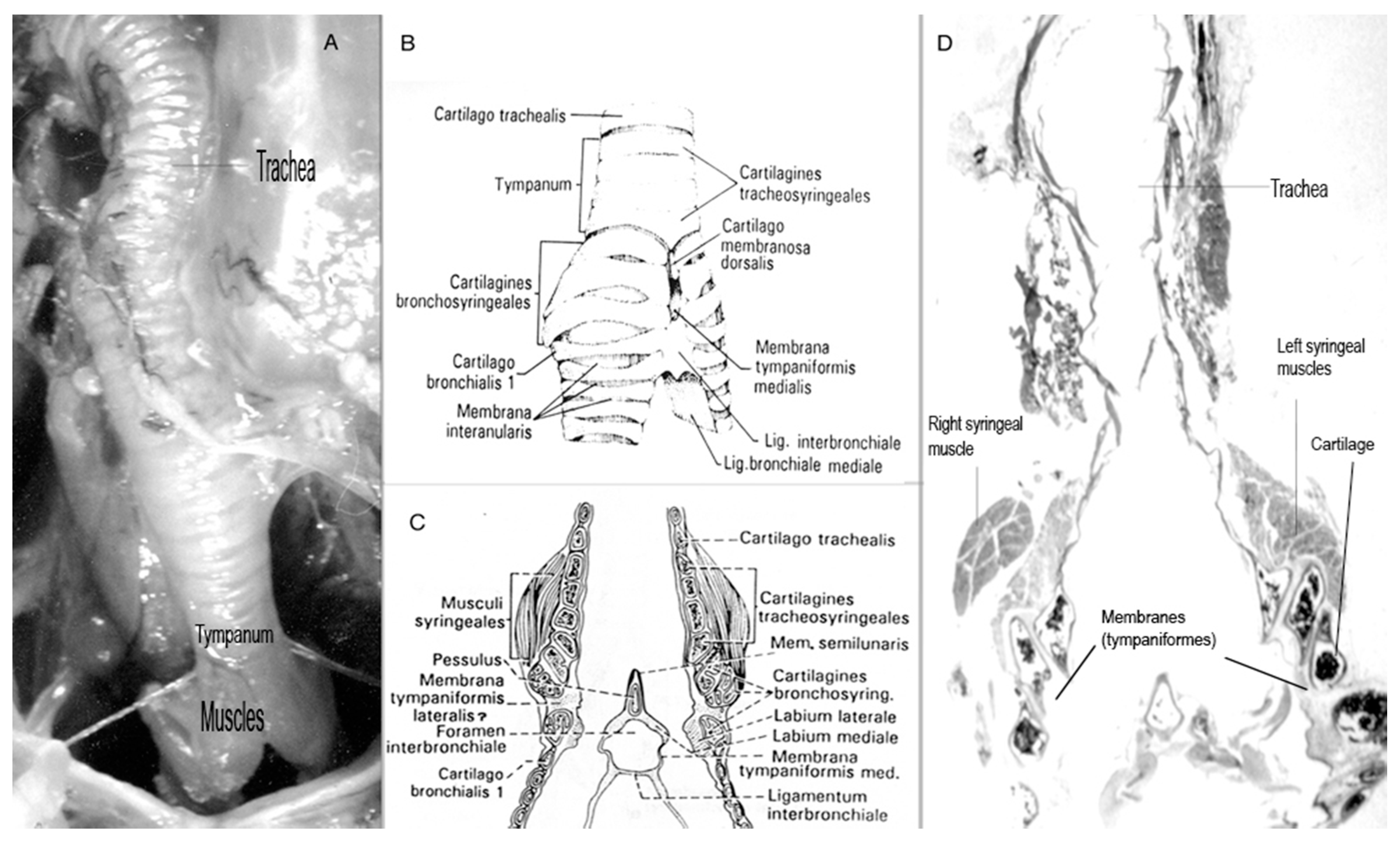 Symmetry 09 00099 g003