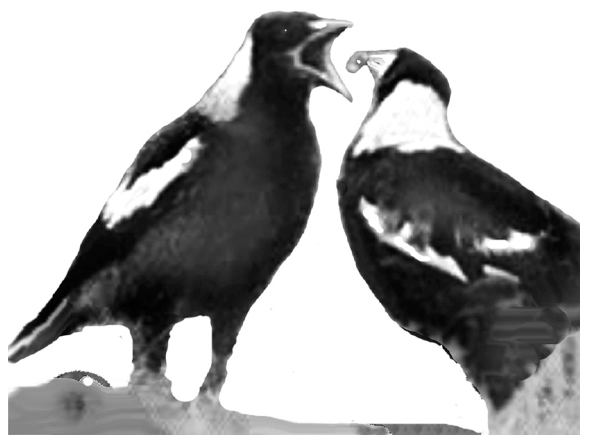 Symmetry 09 00099 g007