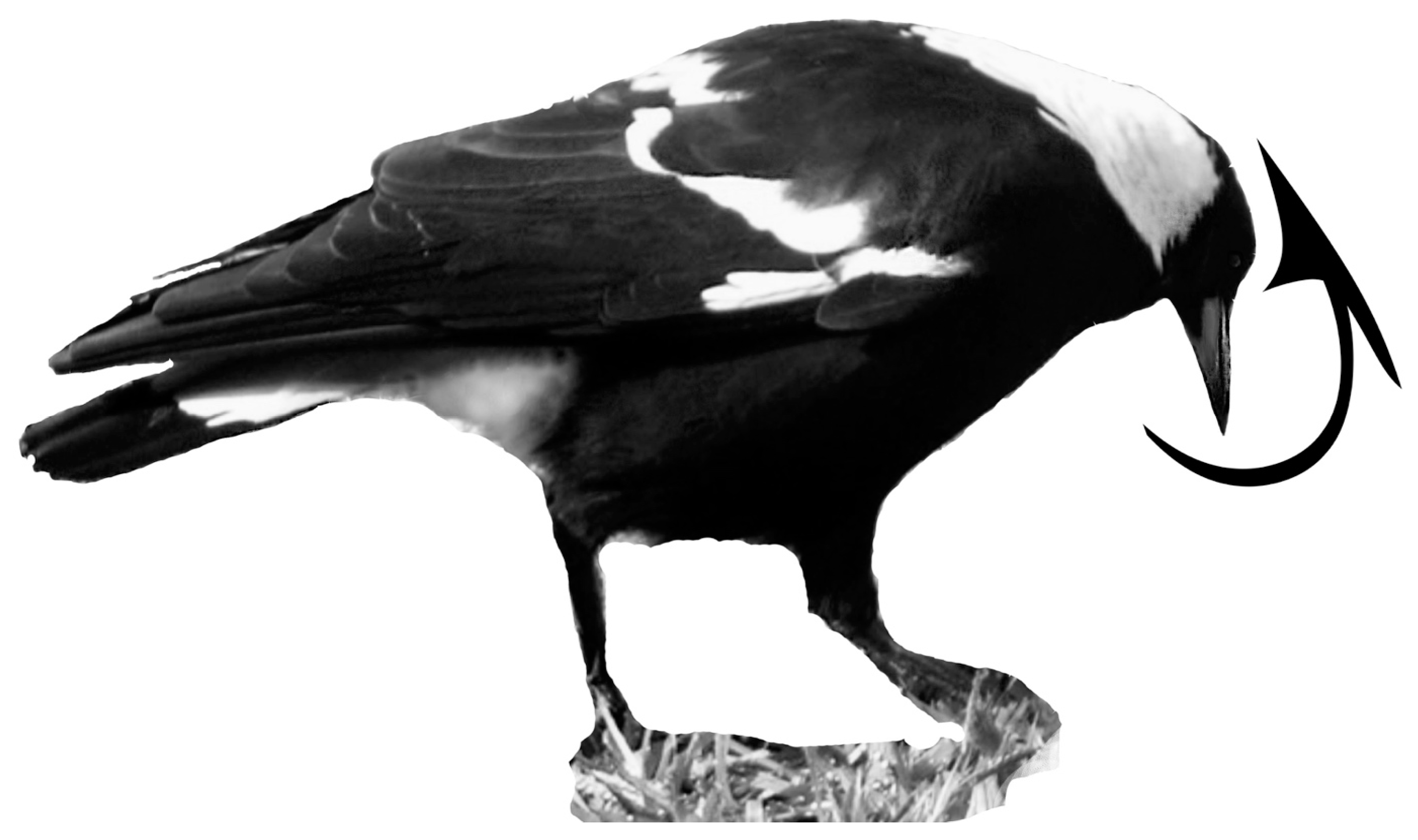 Symmetry 09 00099 g009