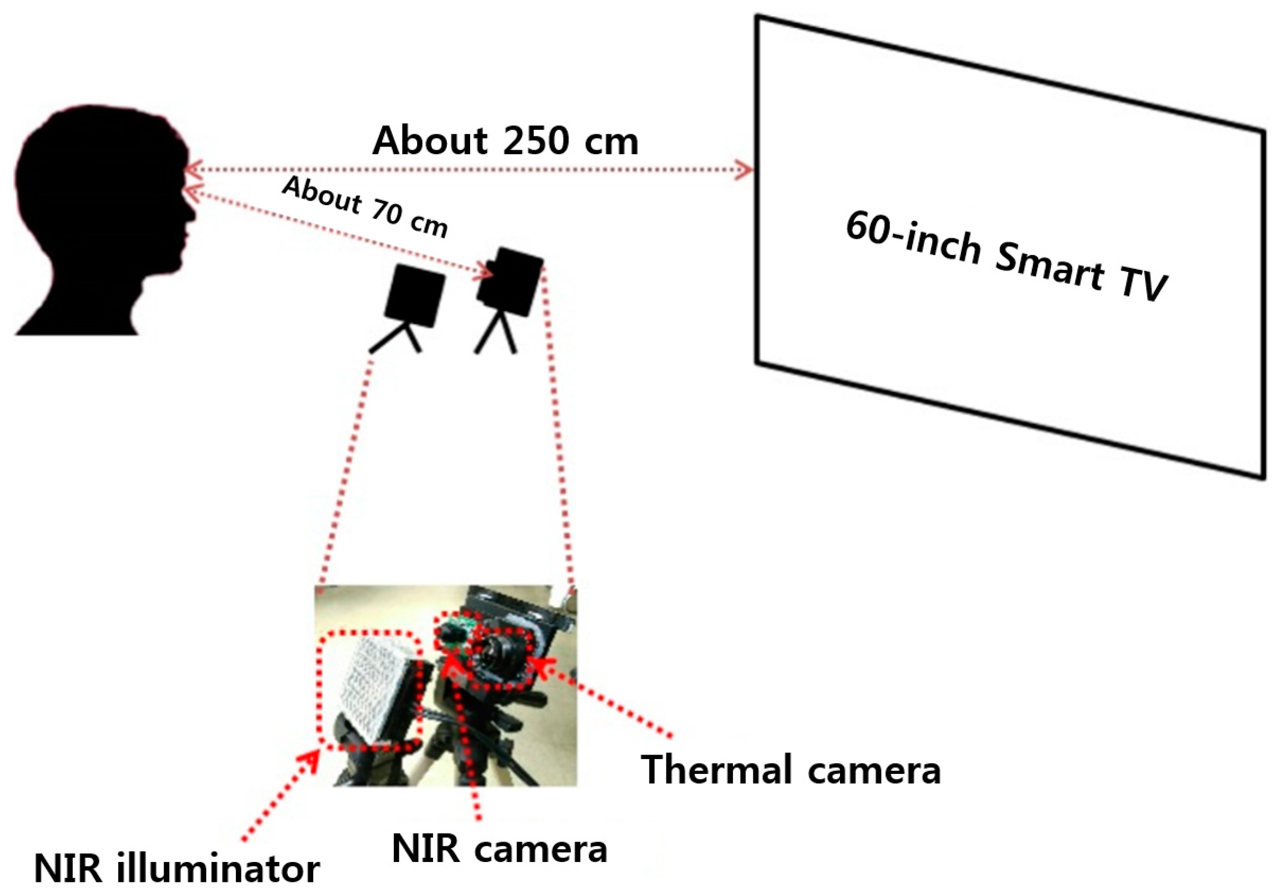 Symmetry 09 00102 g002 550