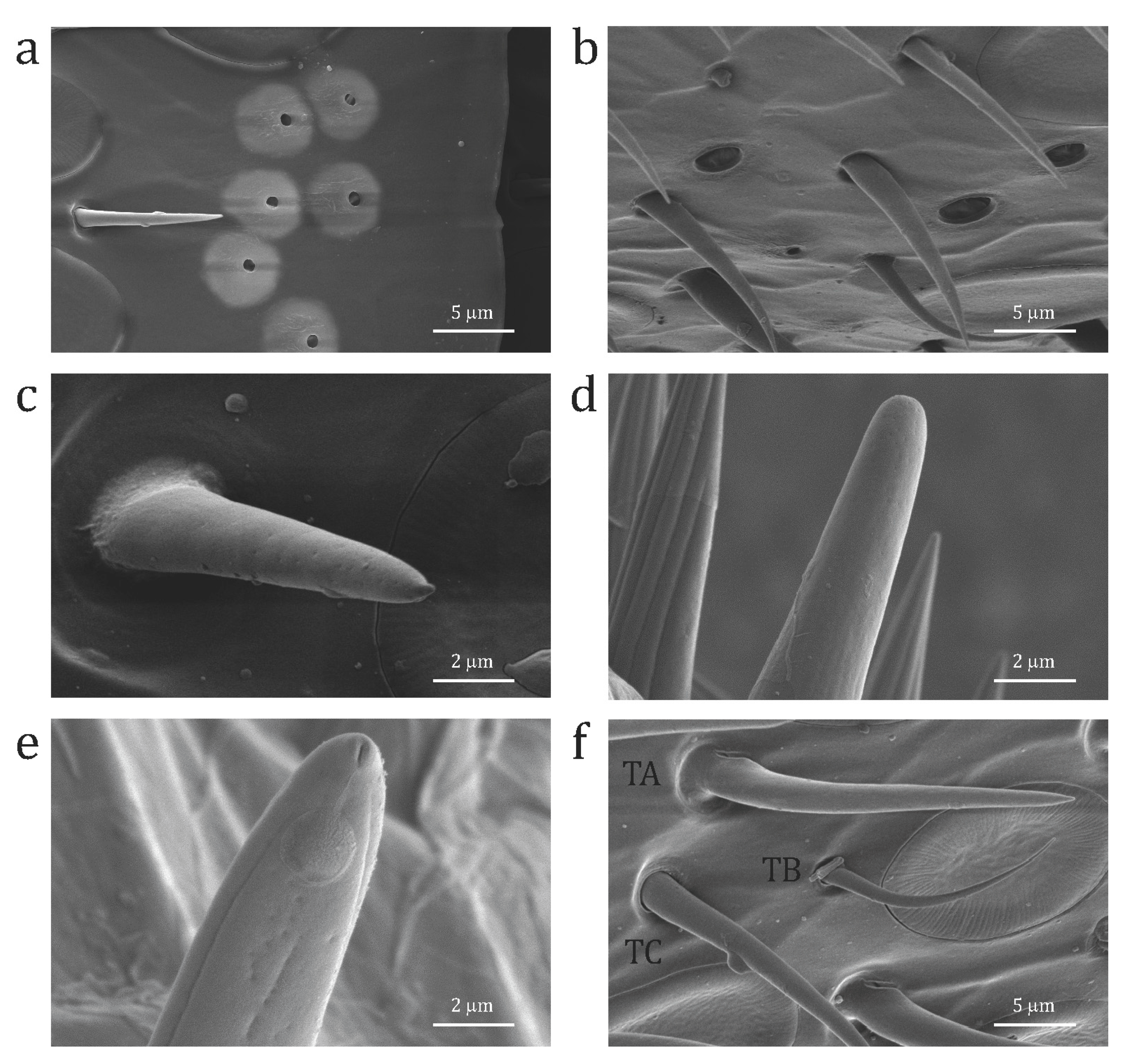 Symmetry 09 00135 g002 550