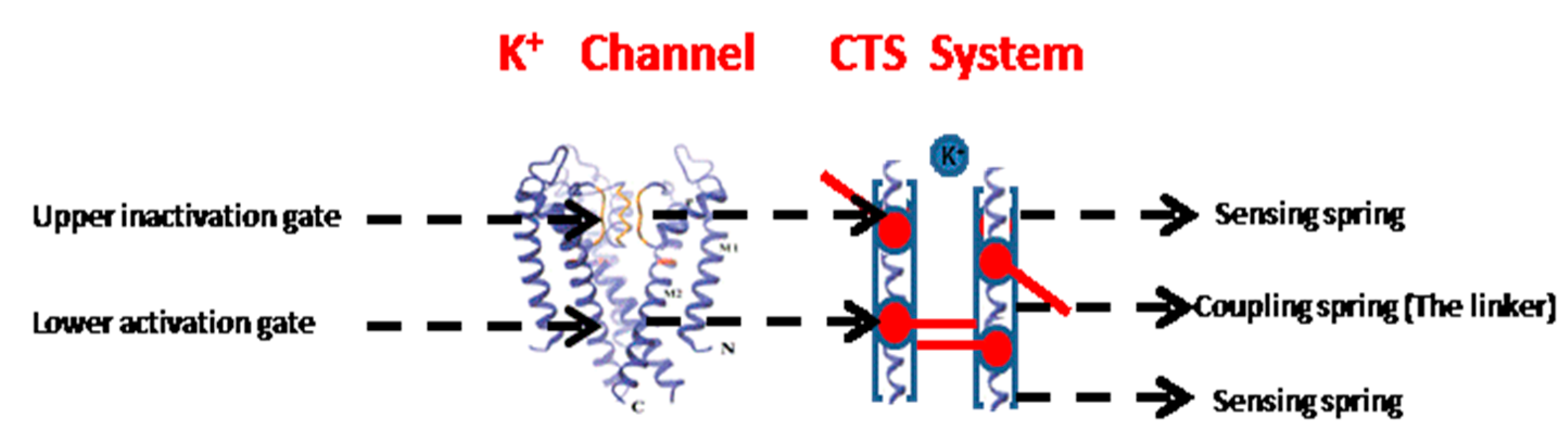 Symmetry 09 00150 g001 550