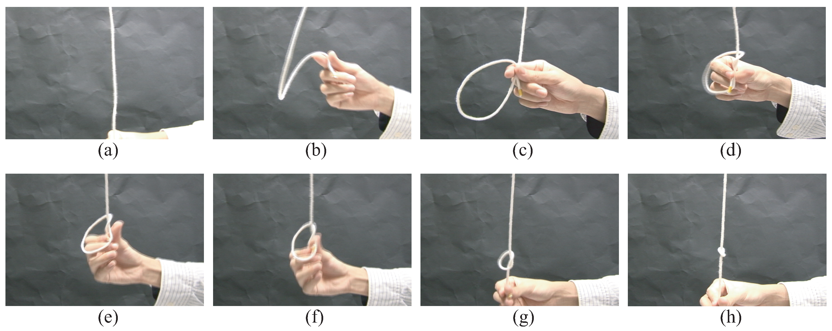 Symmetry 09 00194 g004