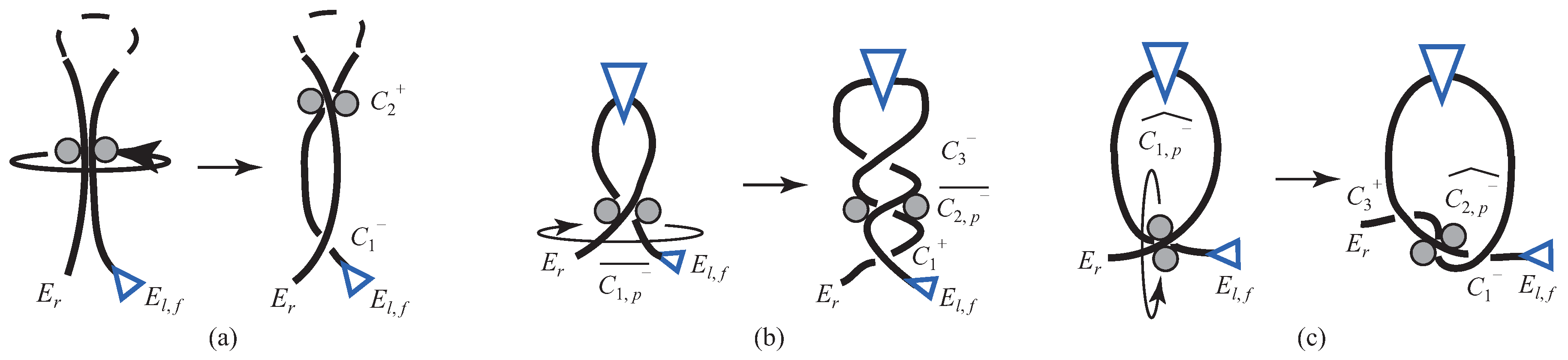 Symmetry 09 00194 g012
