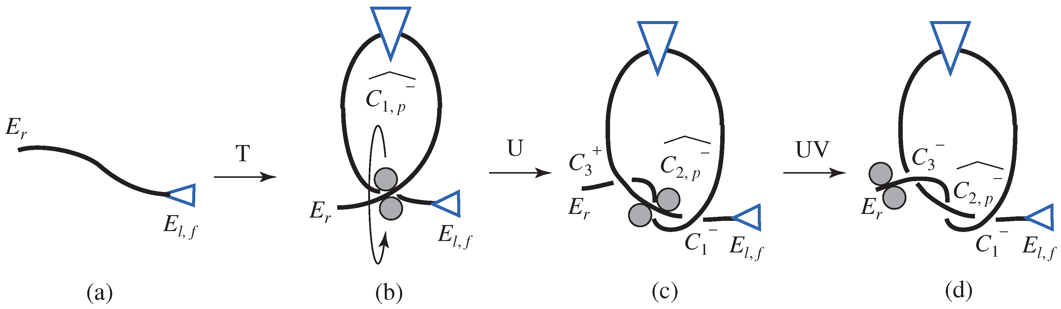Symmetry 09 00194 g021