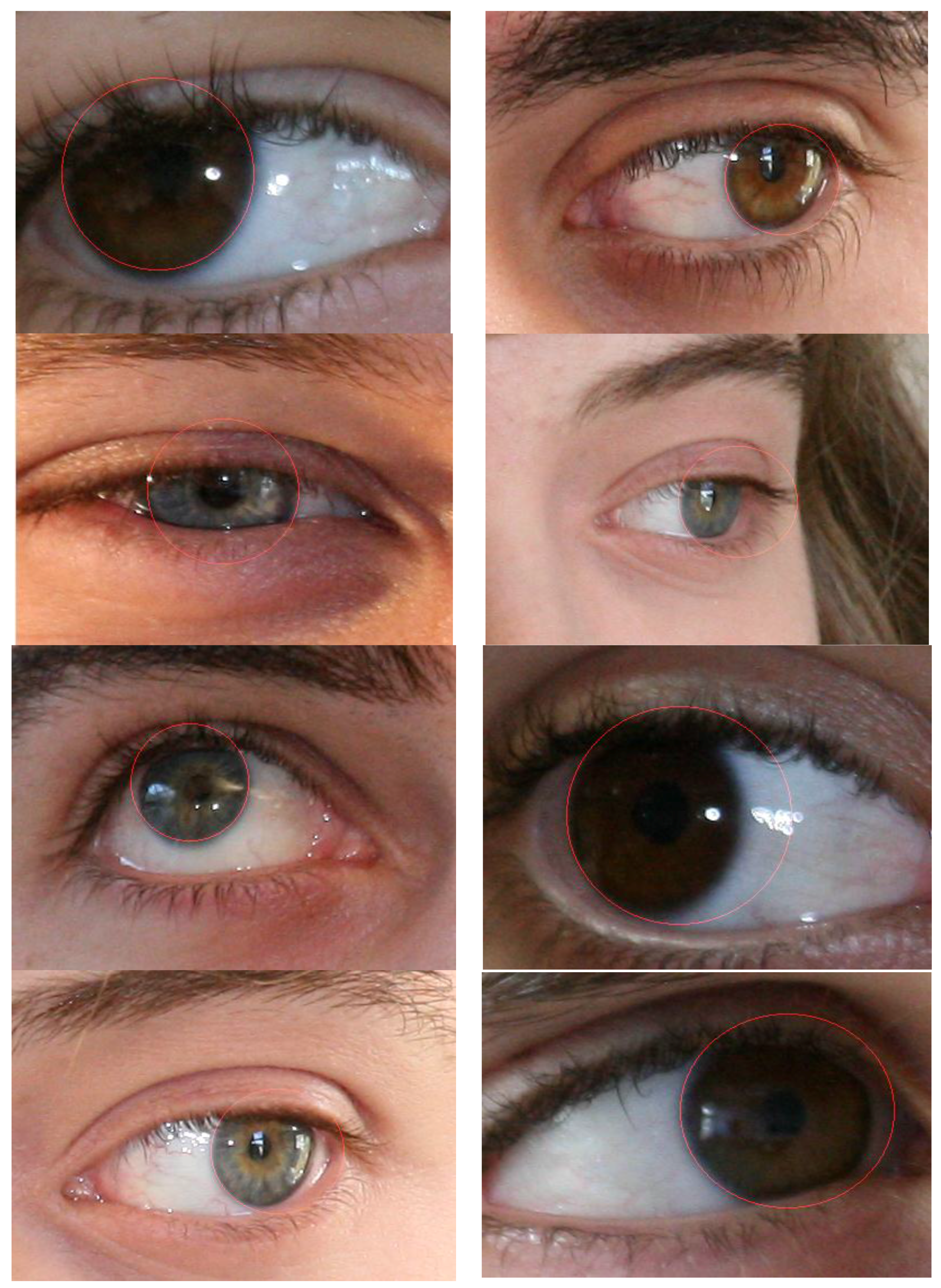 Symmetry 09 00263 g006