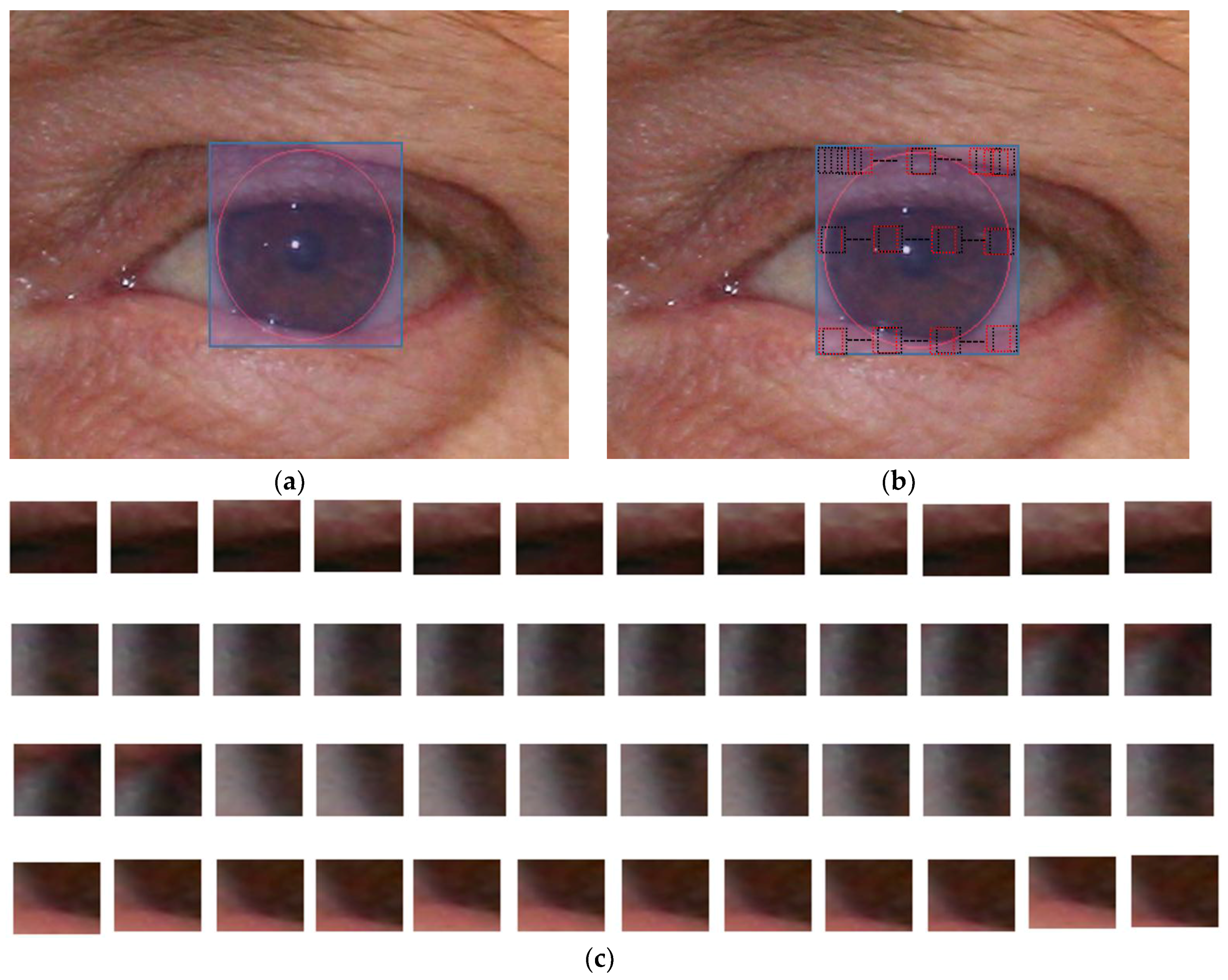 Symmetry 09 00263 g007