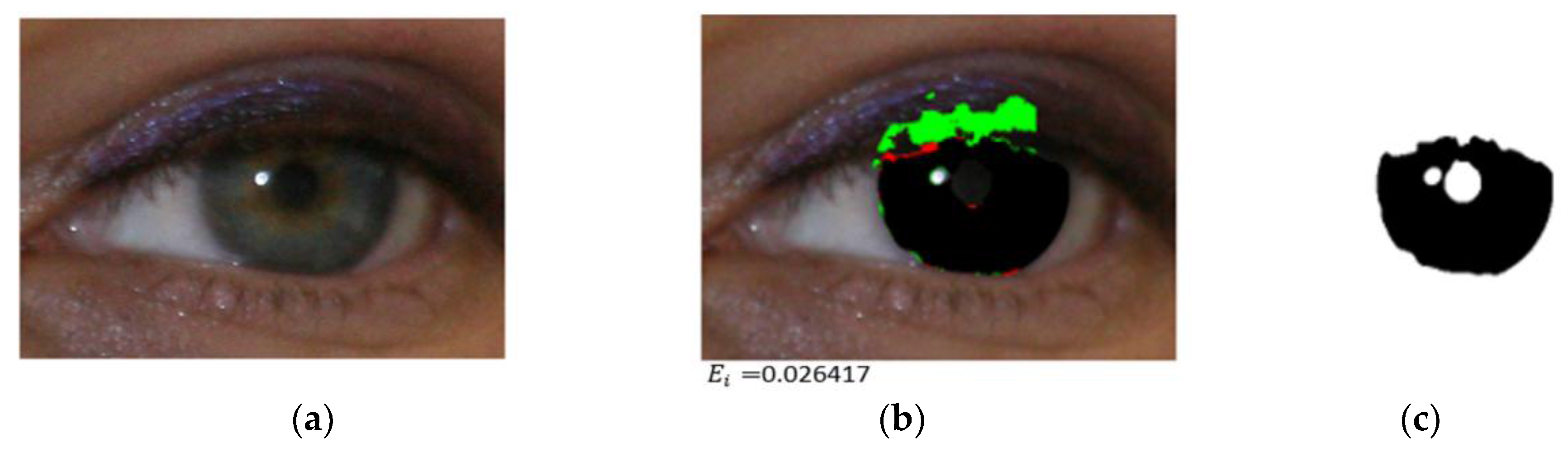 Symmetry 09 00263 g014b