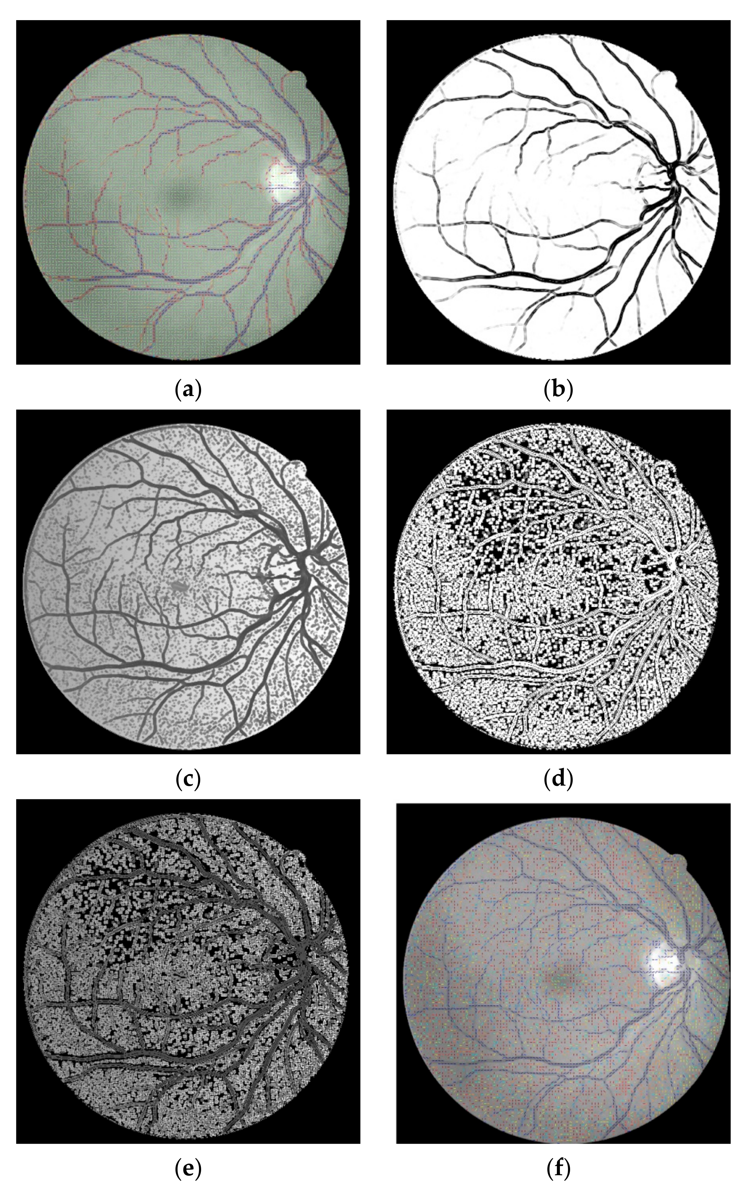 Symmetry 09 00276 g003