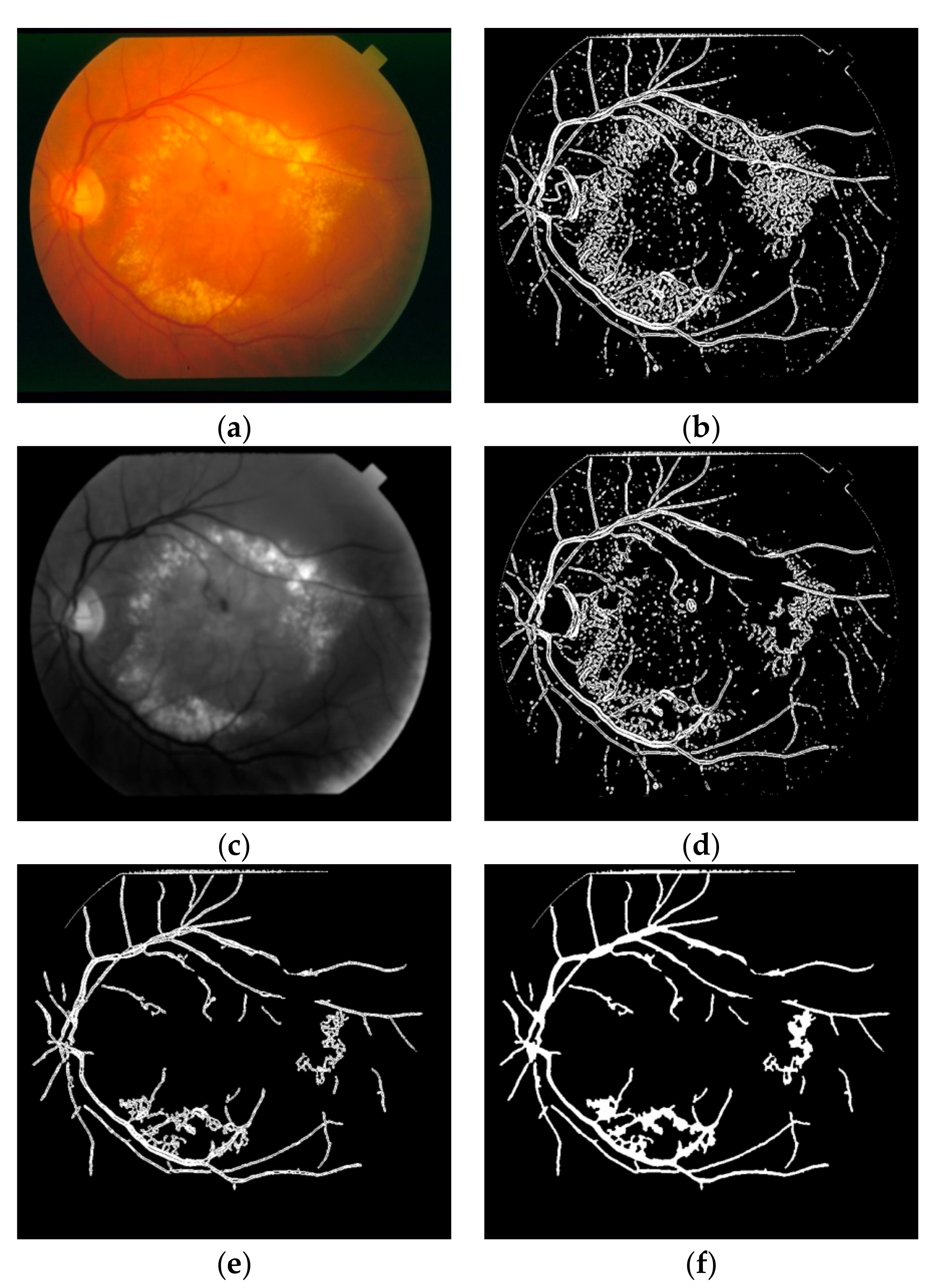 Symmetry 09 00276 g006