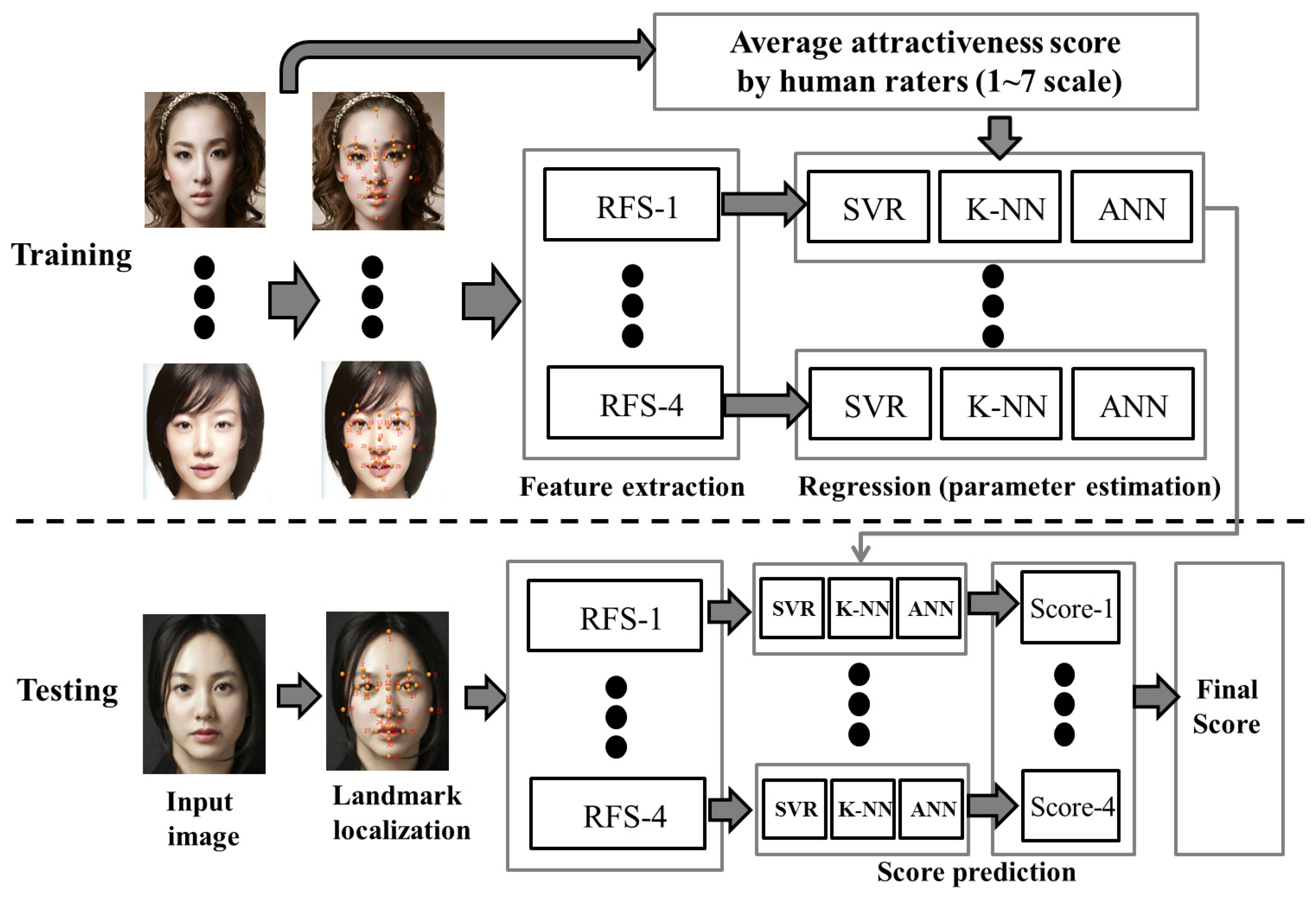 Symmetry Free Full Text A Novel Framework for Assessing Facial