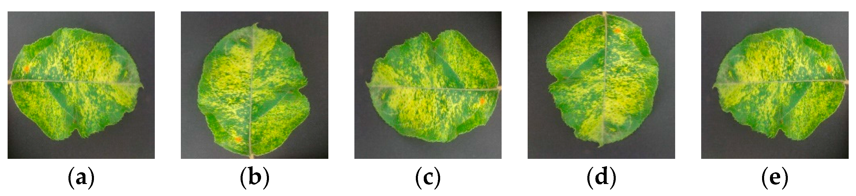 Symmetry 10 00011 g002 550
