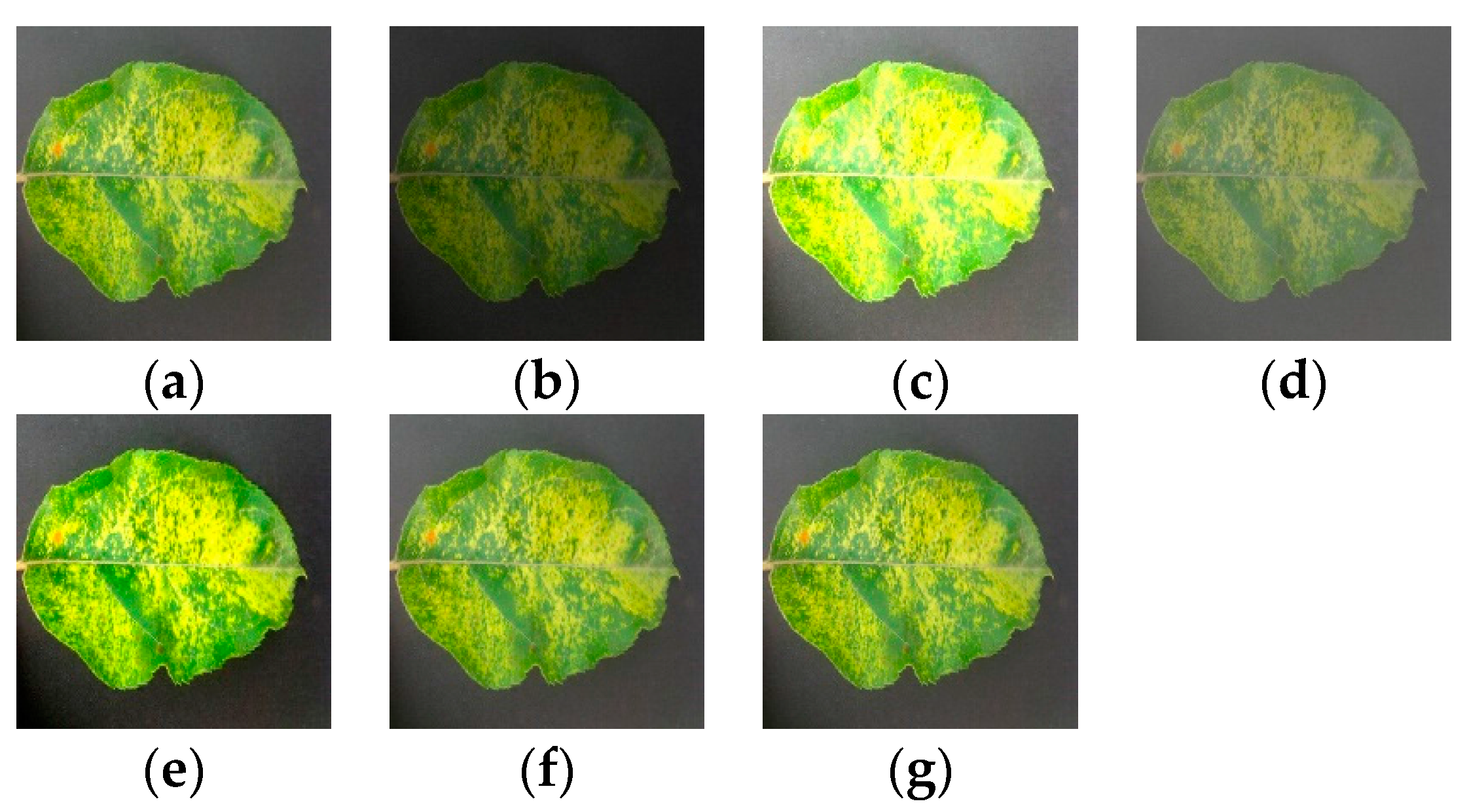 Symmetry 10 00011 g003 550