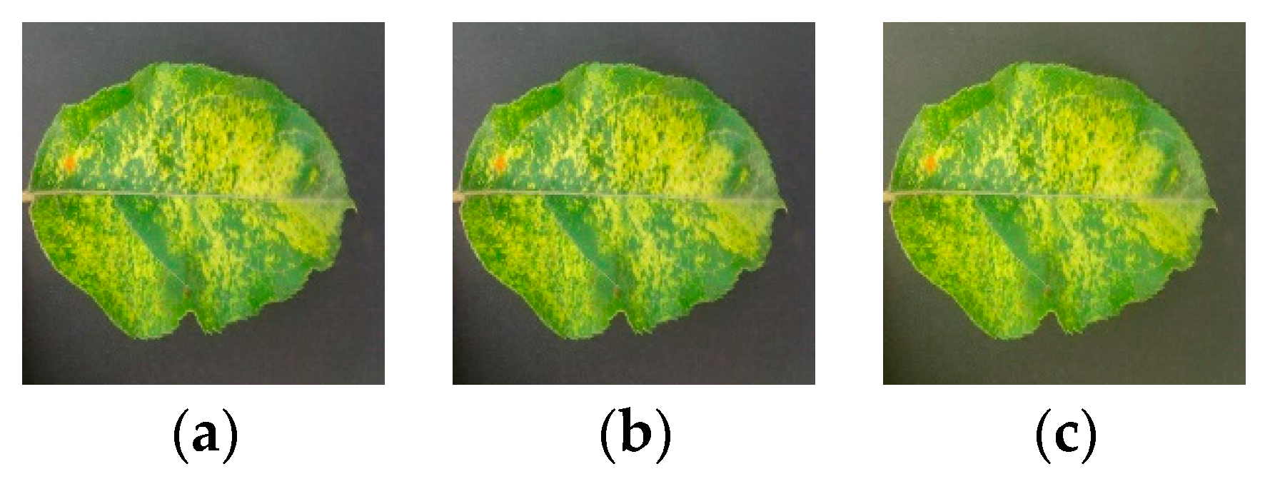 Symmetry 10 00011 g004 550