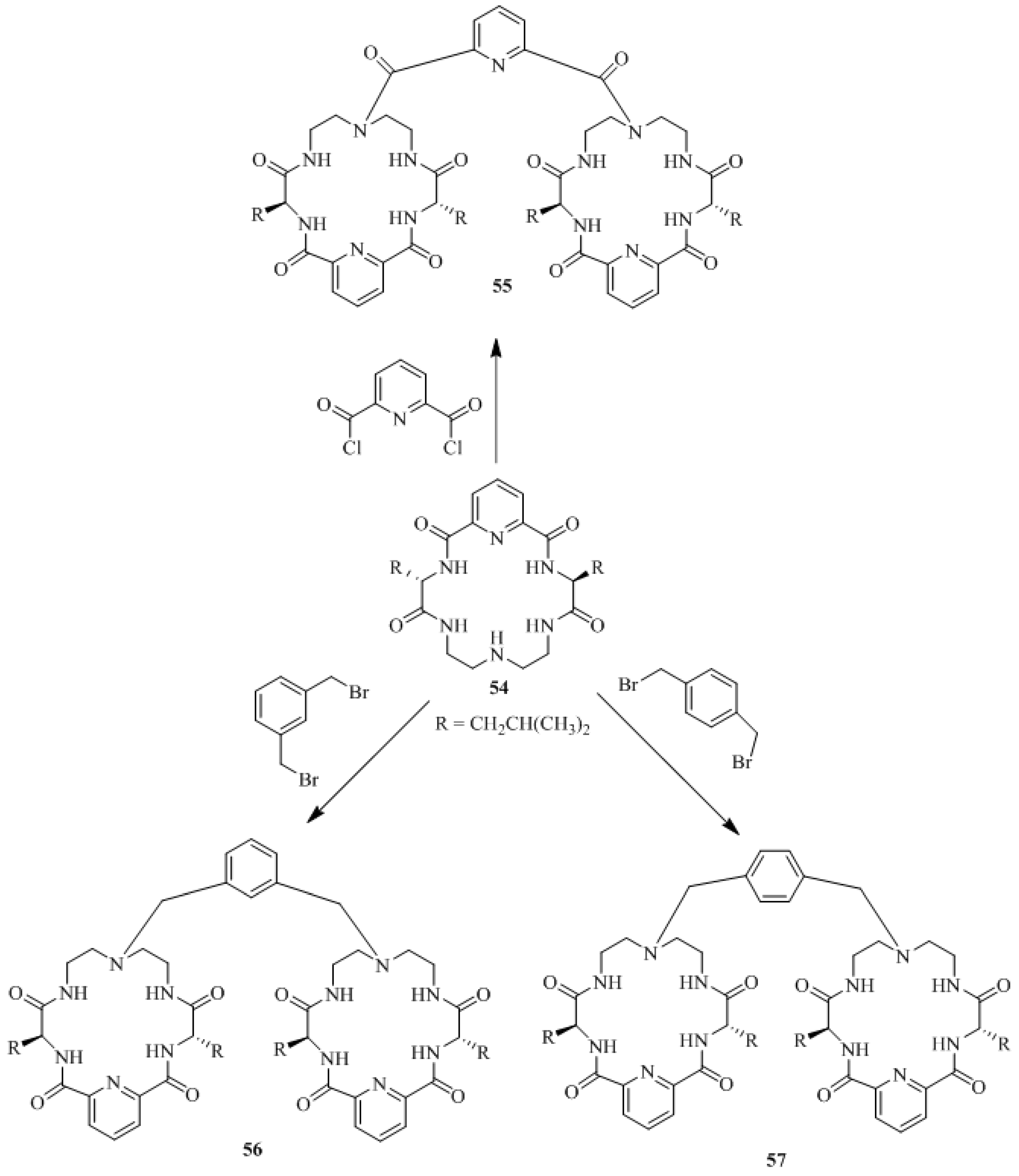 Symmetry 10 00034 sch008 Symmetry 10 00034 sch008