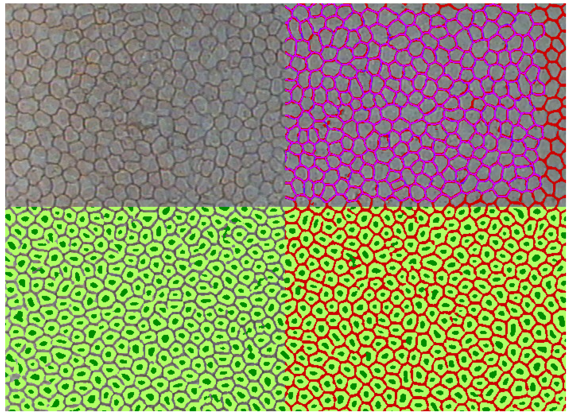 Symmetry 10 00060 g005 Symmetry 10 00060 g005