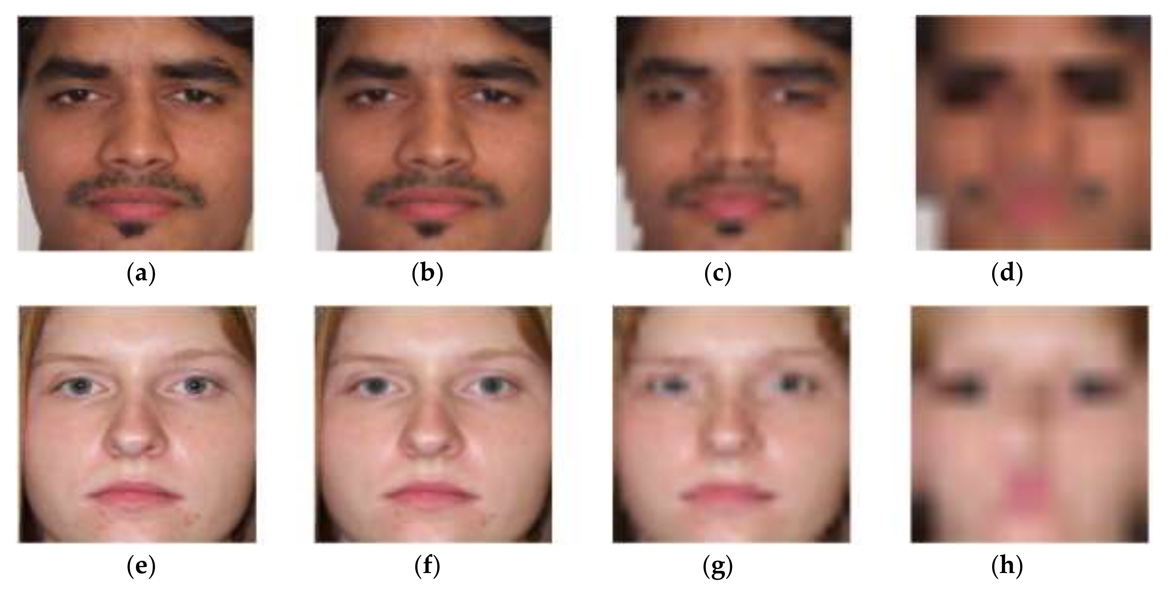 Symmetry 10 00108 g012 550