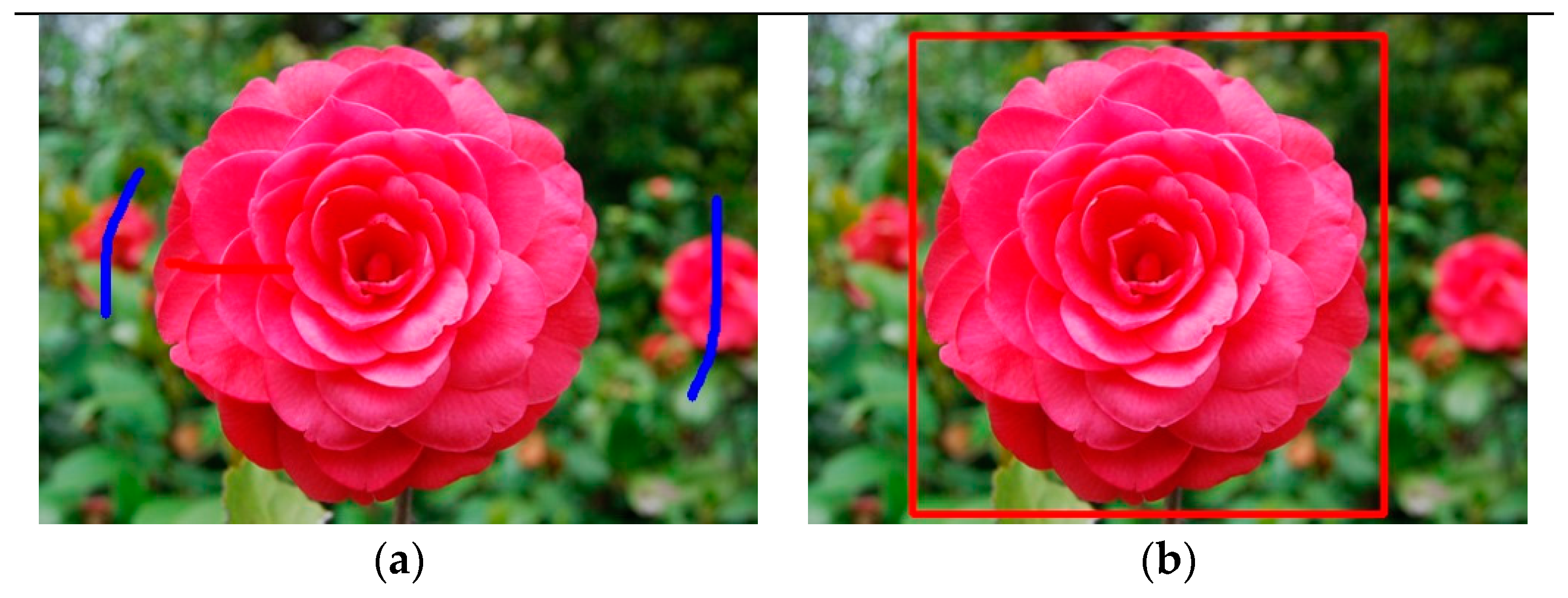 Symmetry 10 00169 g005