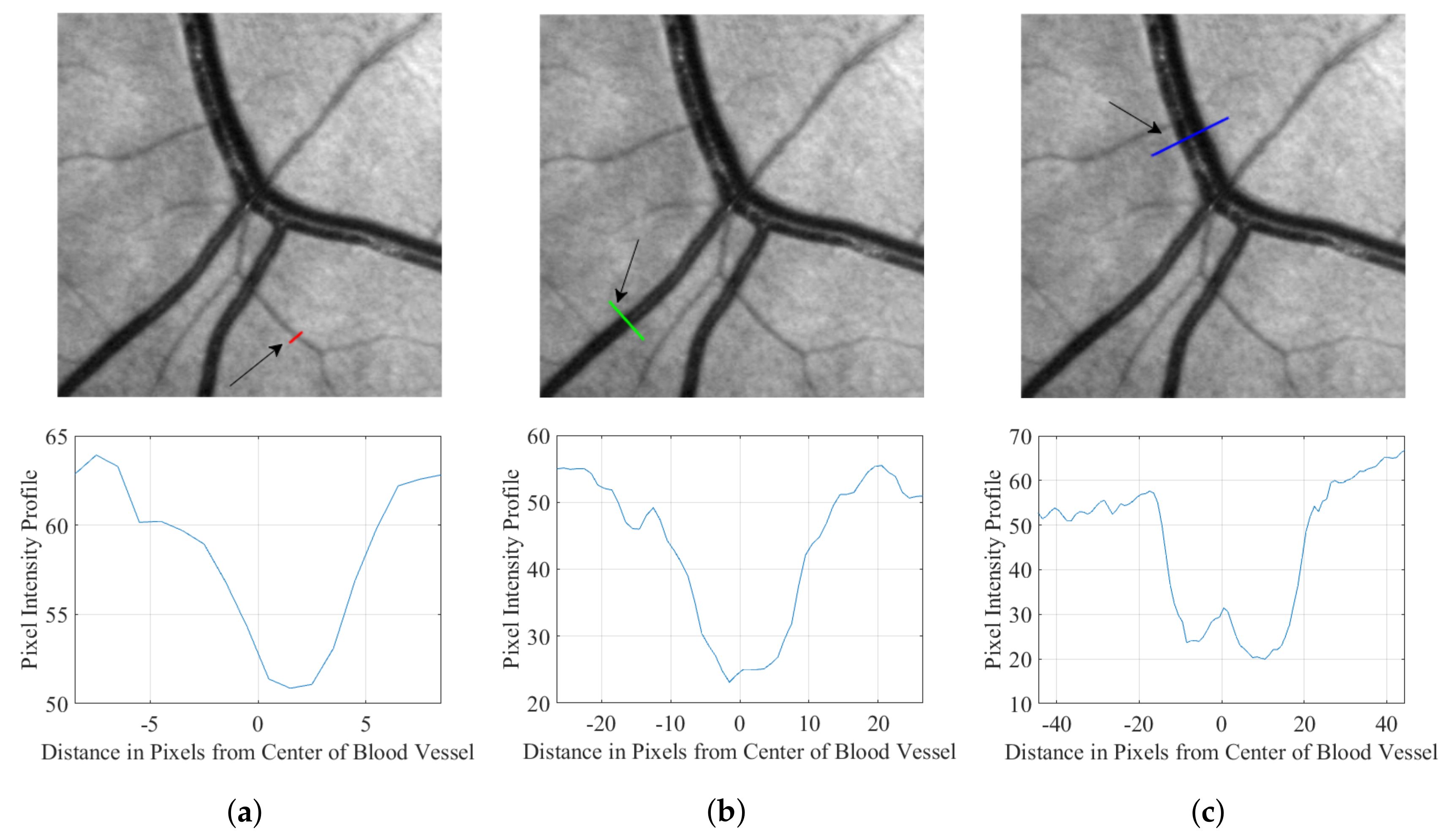 Symmetry 10 00257 g001 Symmetry 10 00257 g001