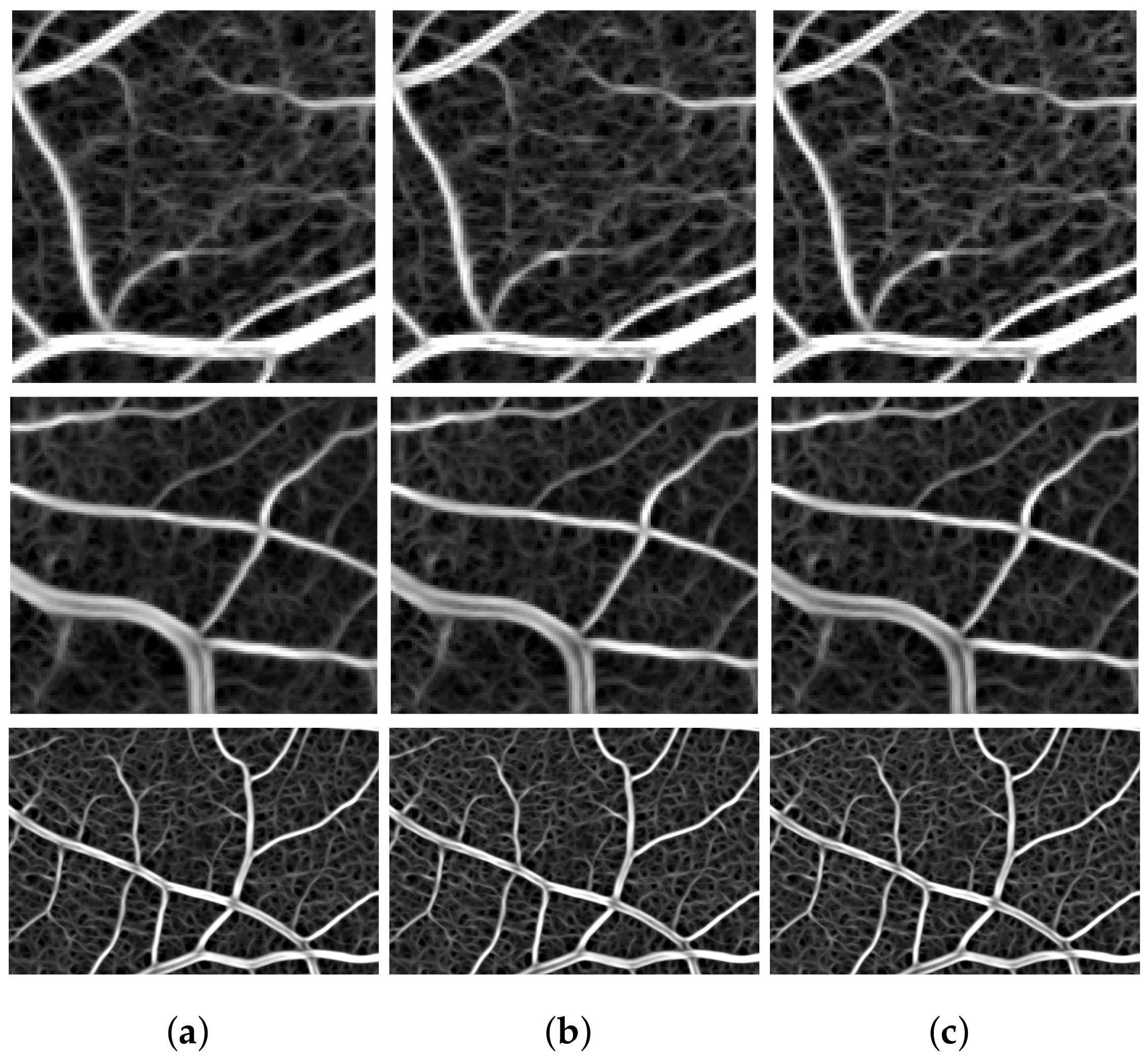 Symmetry 10 00257 g009 Symmetry 10 00257 g009