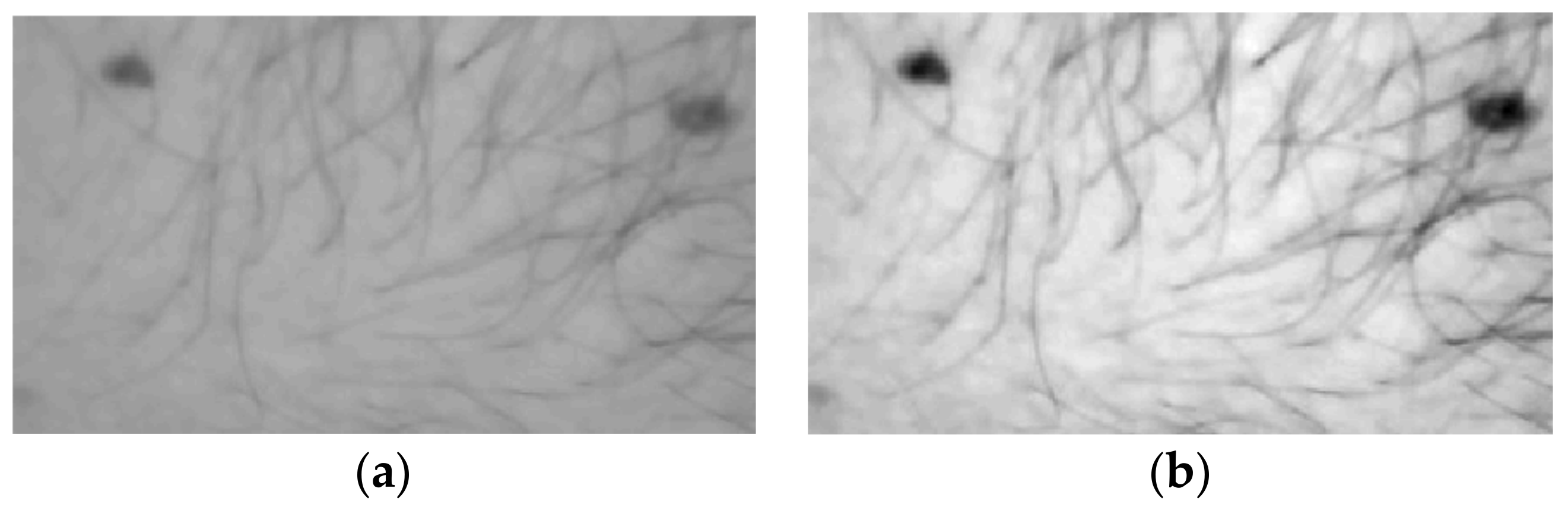 Symmetry 10 00270 g006
