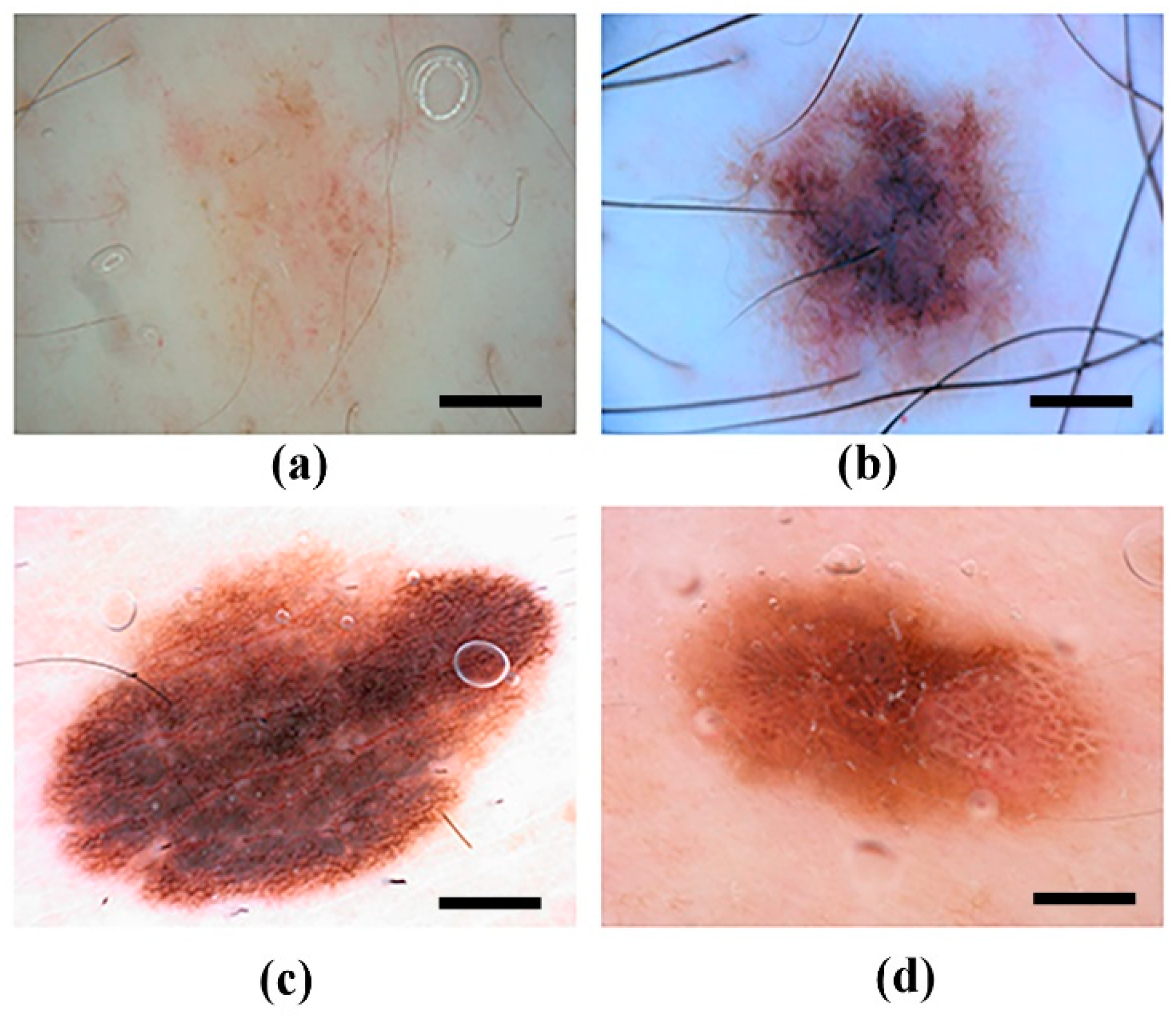 Symmetry 10 00347 g001