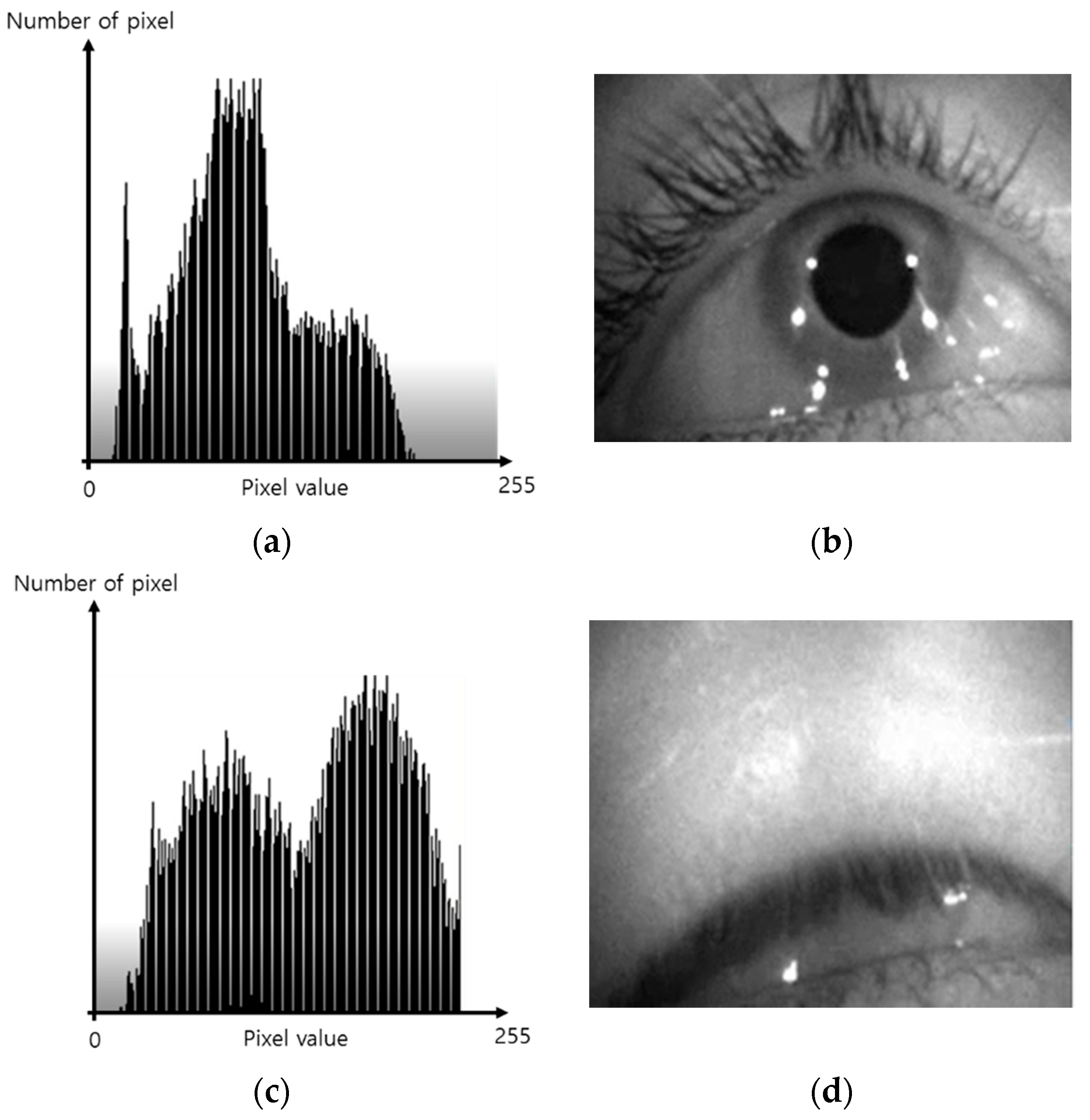 Symmetry Free Full Text Change Of Blink Rate In Viewing Virtual Reality With Hmd Symmetry Free Full Text Change Of Blink Rate In Viewing Virtual Reality With Hmd