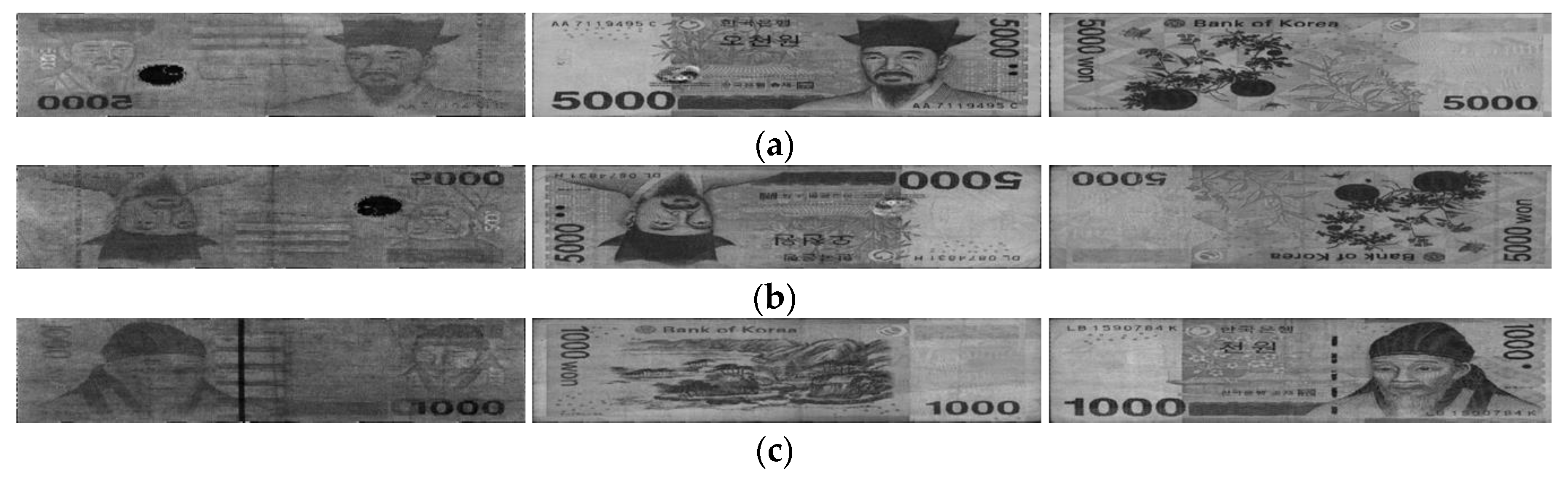 Symmetry 10 00431 g005