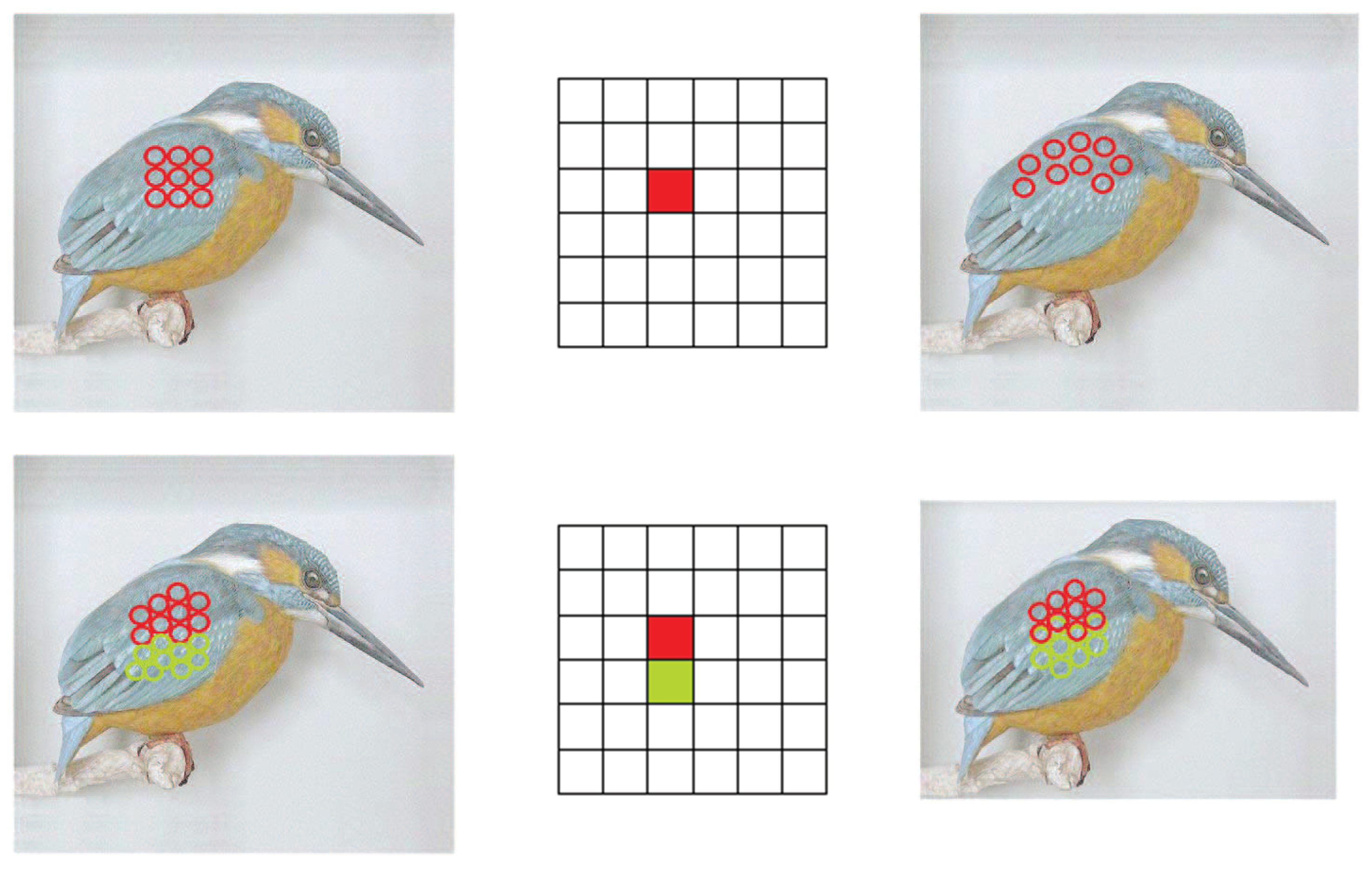 Symmetry 10 00479 g002