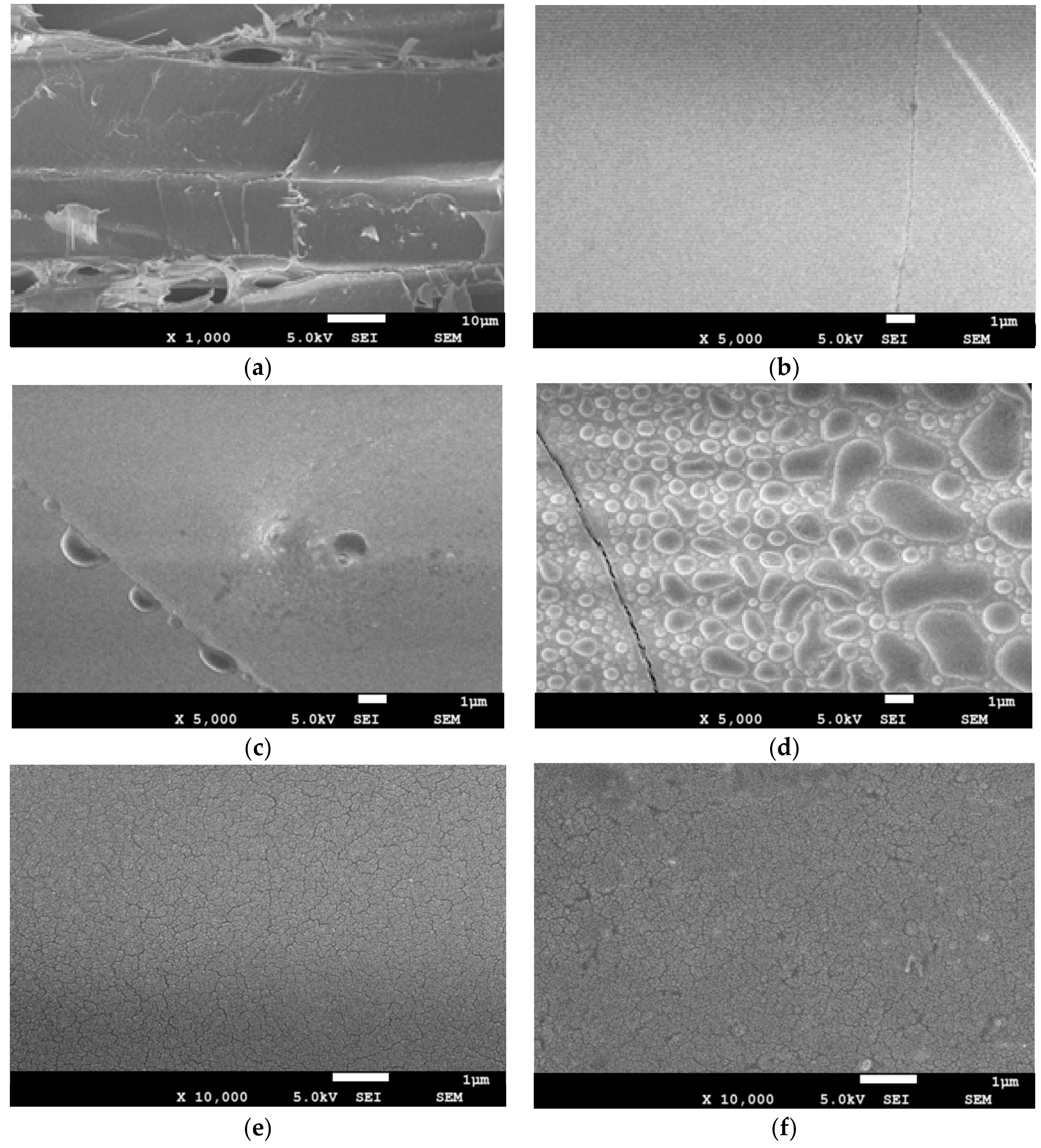 Symmetry 10 00550 g005