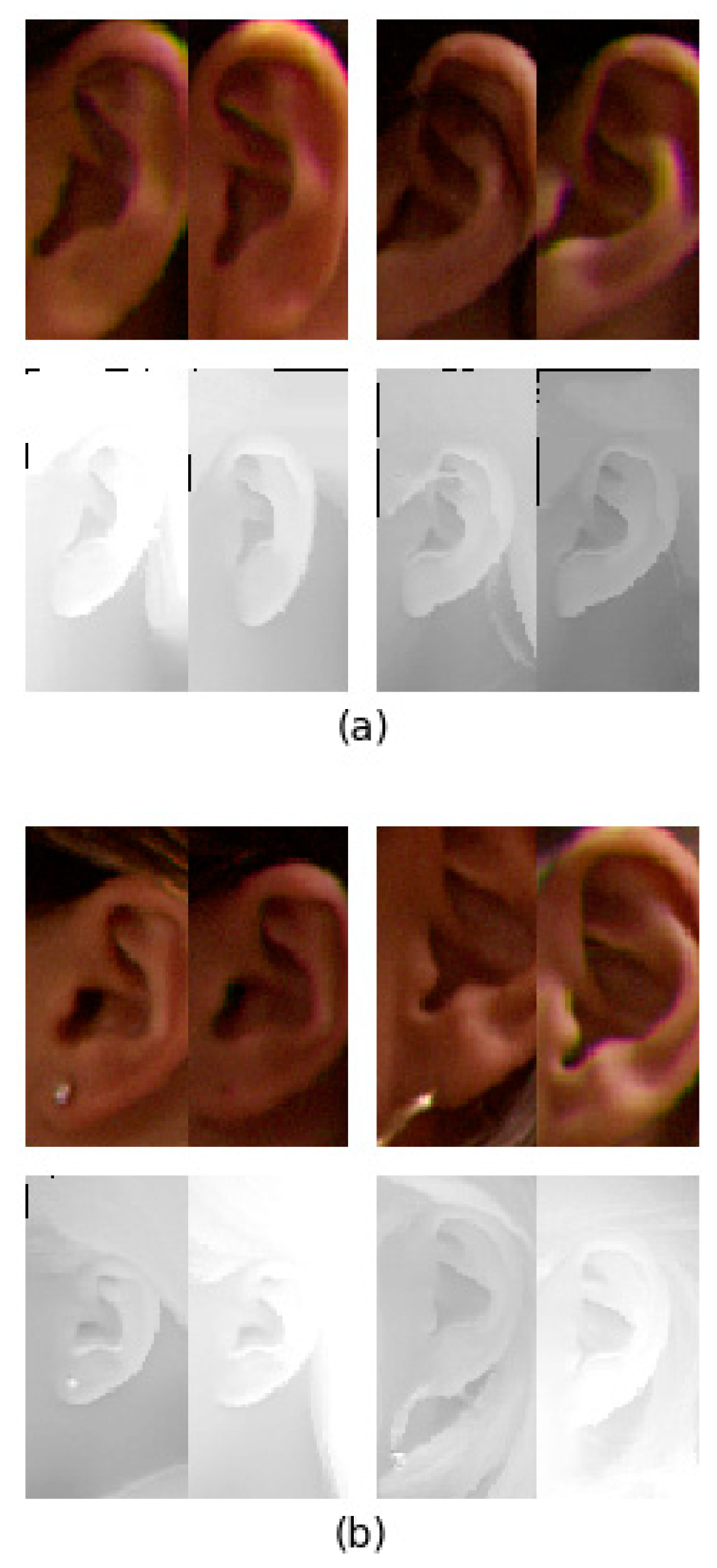 Symmetry 10 00565 g007 Symmetry 10 00565 g007