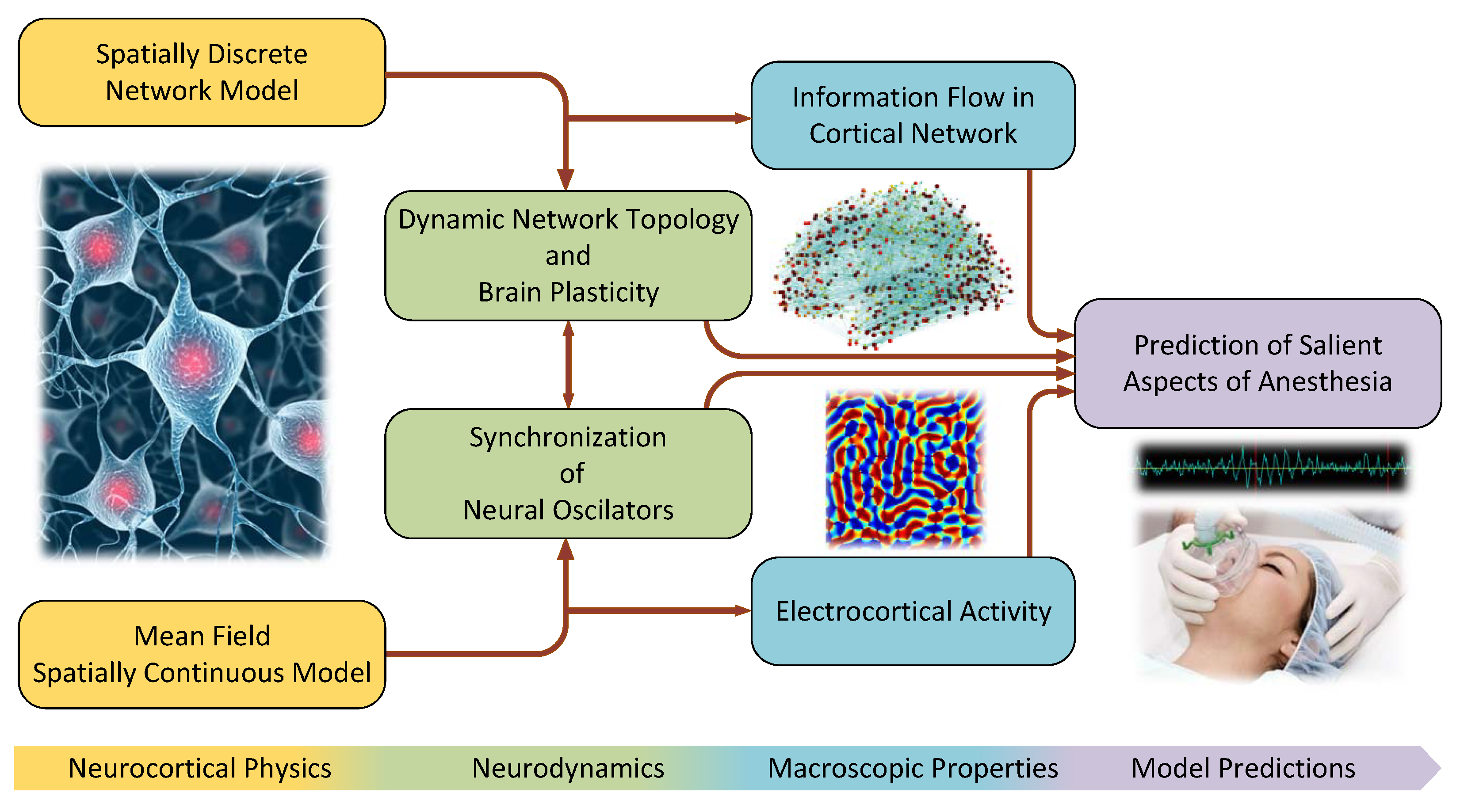 A Computational Study of a Spatiotemporal Mean Field Model 