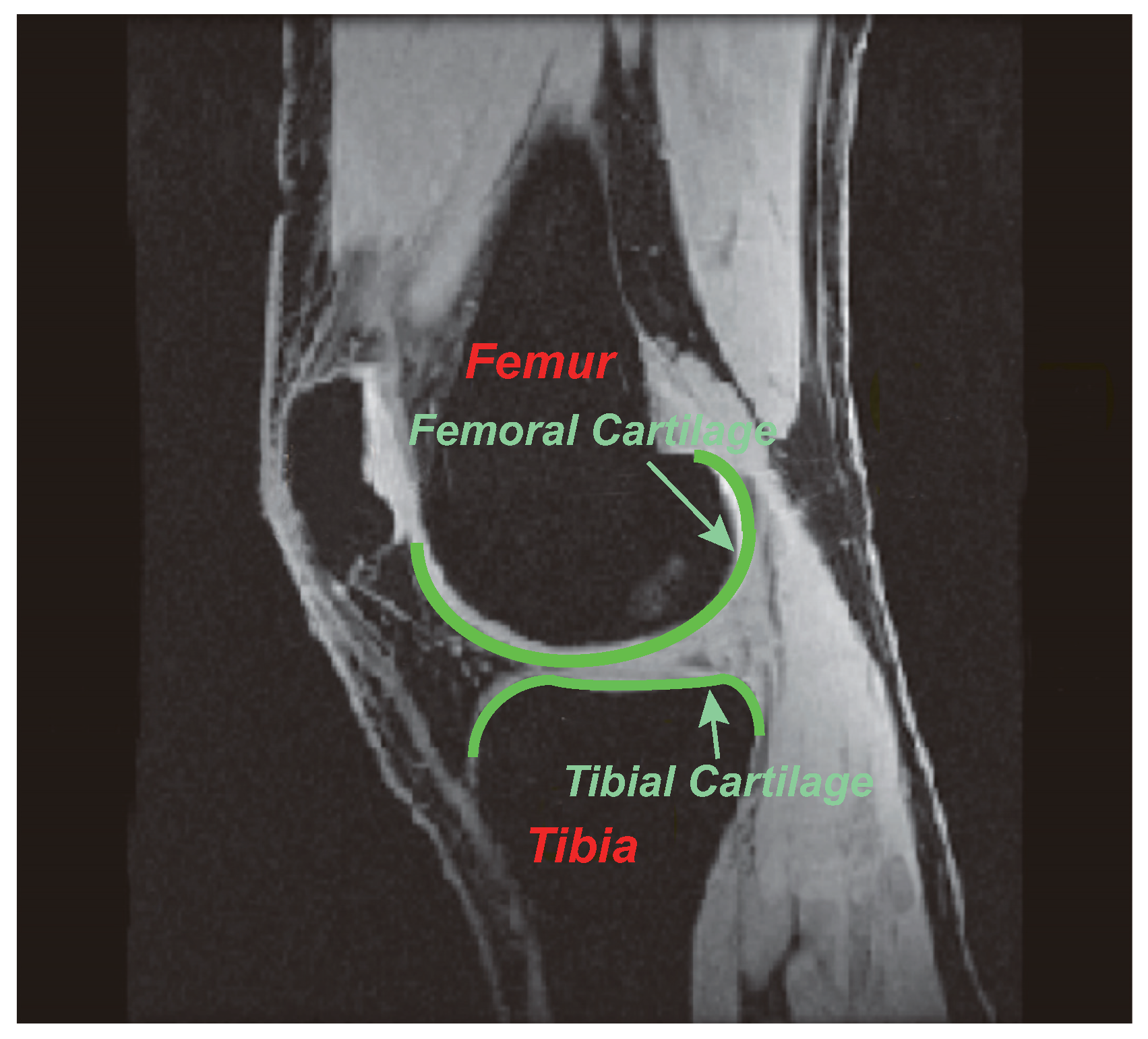 Symmetry 10 00591 g004 Symmetry 10 00591 g004