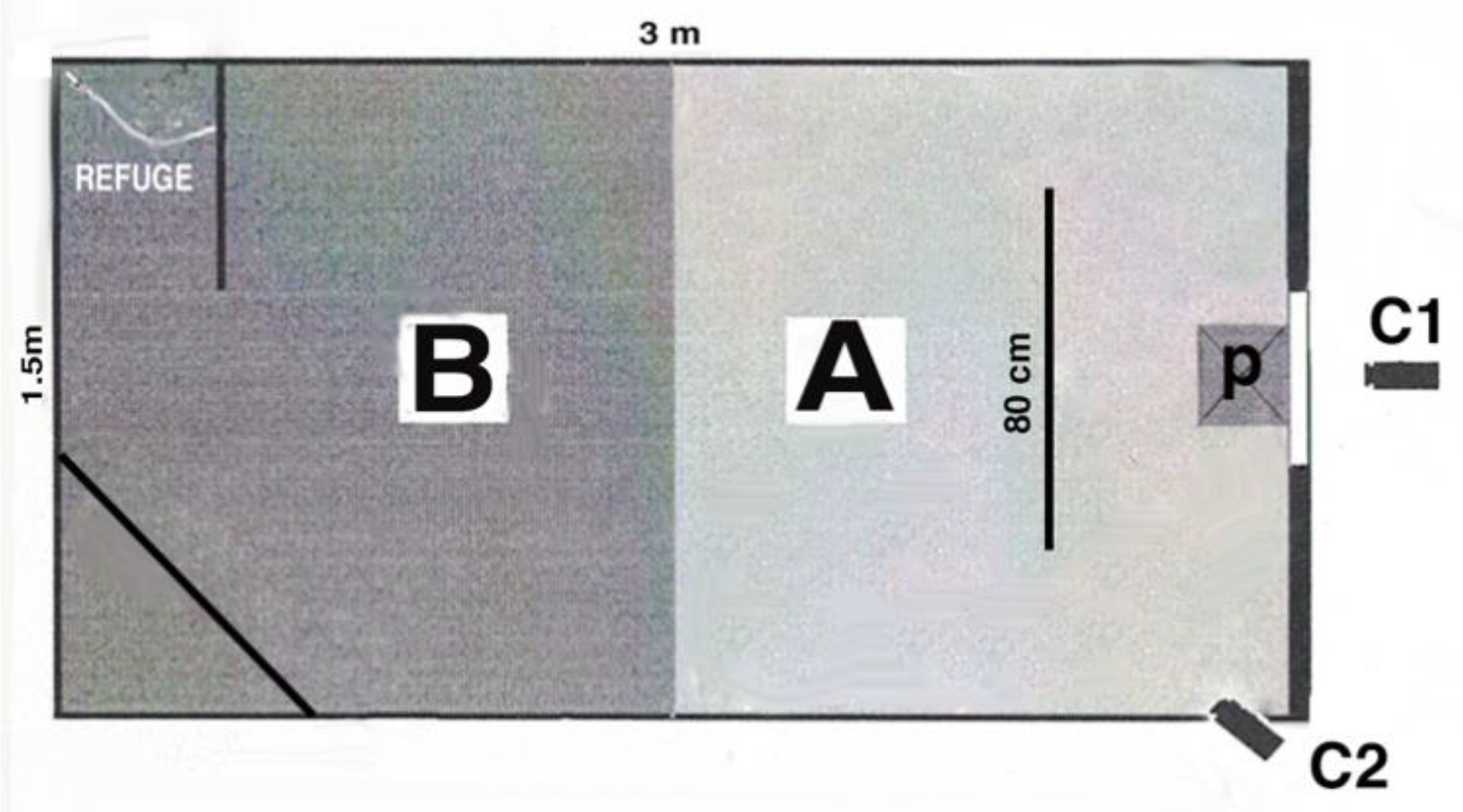Symmetry 10 00679 g001