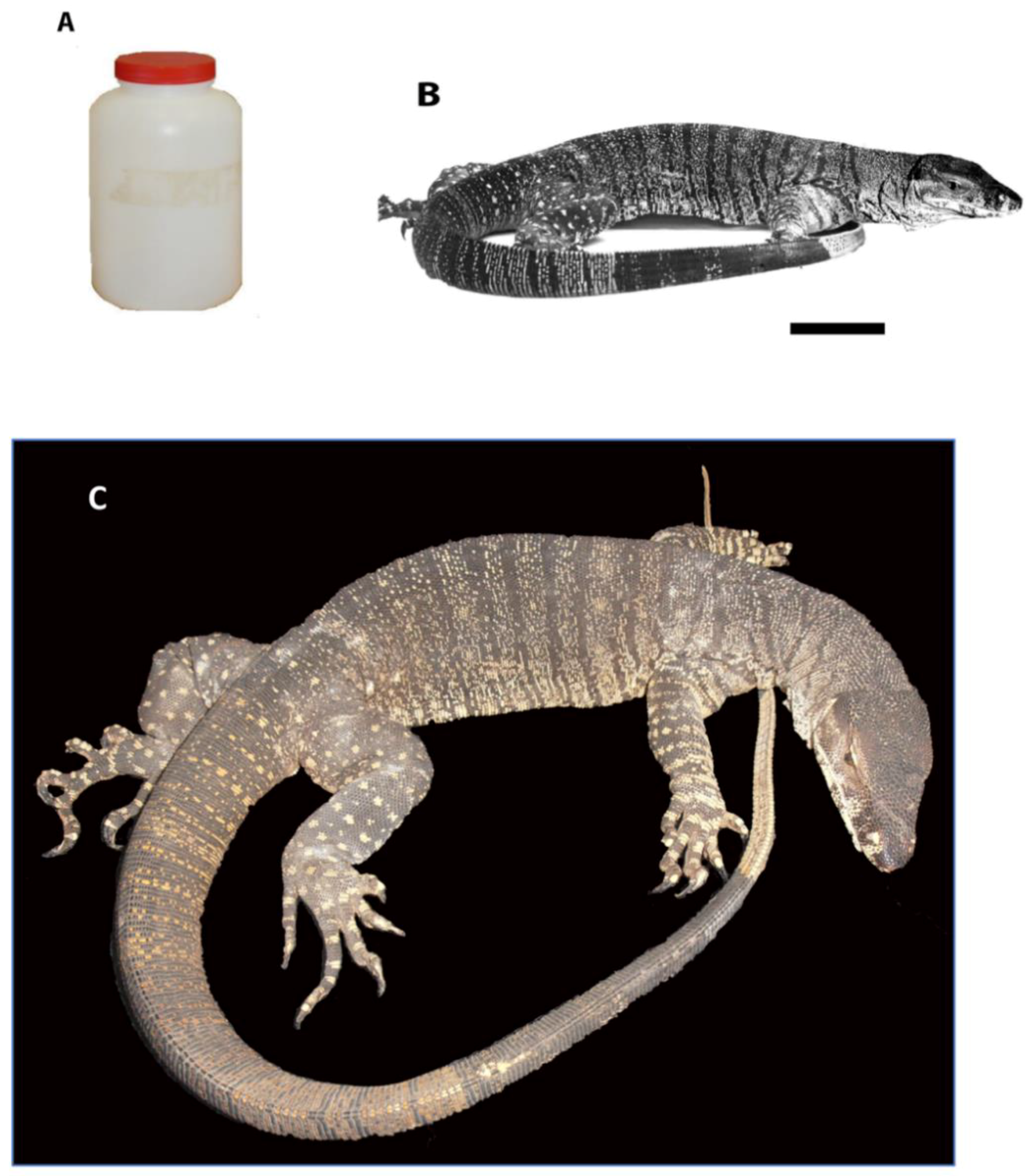 Symmetry 10 00679 g002