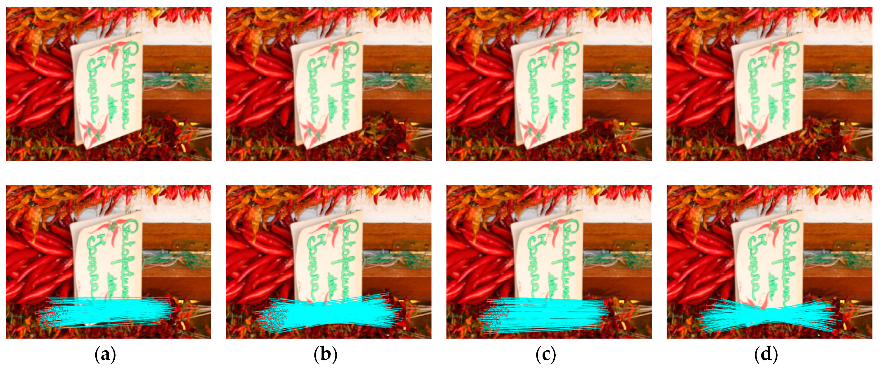 Symmetry 10 00706 g010