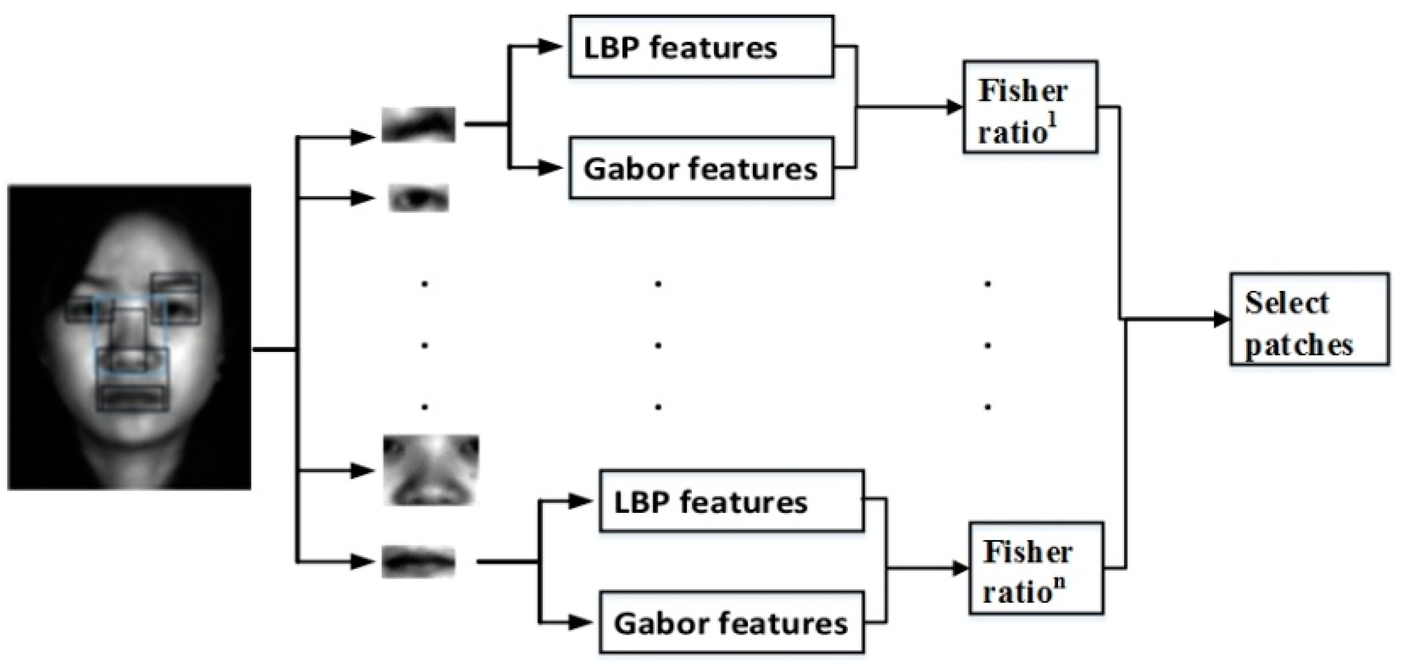 Symmetry 10 00714 g004