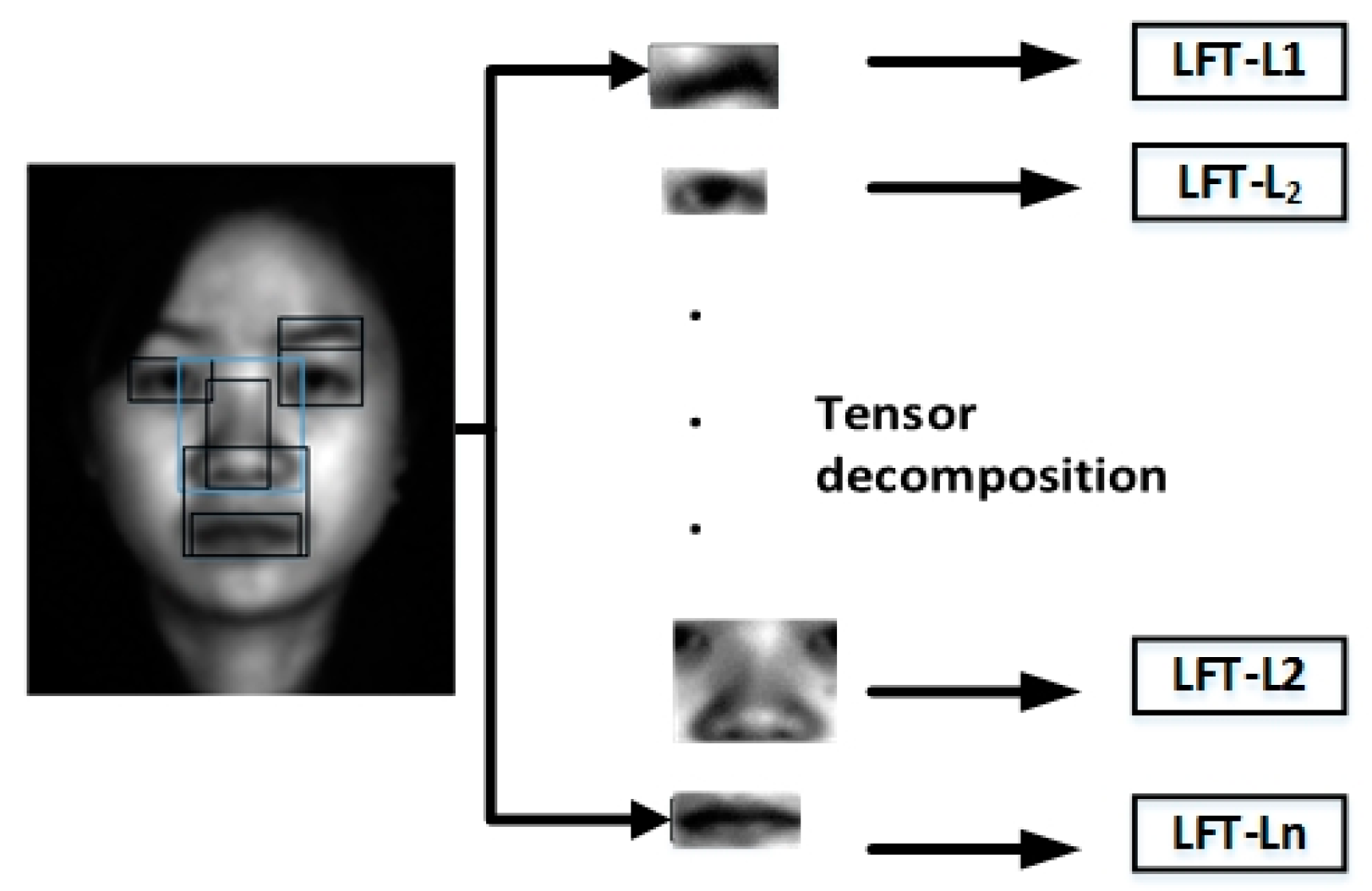 Symmetry 10 00714 g006