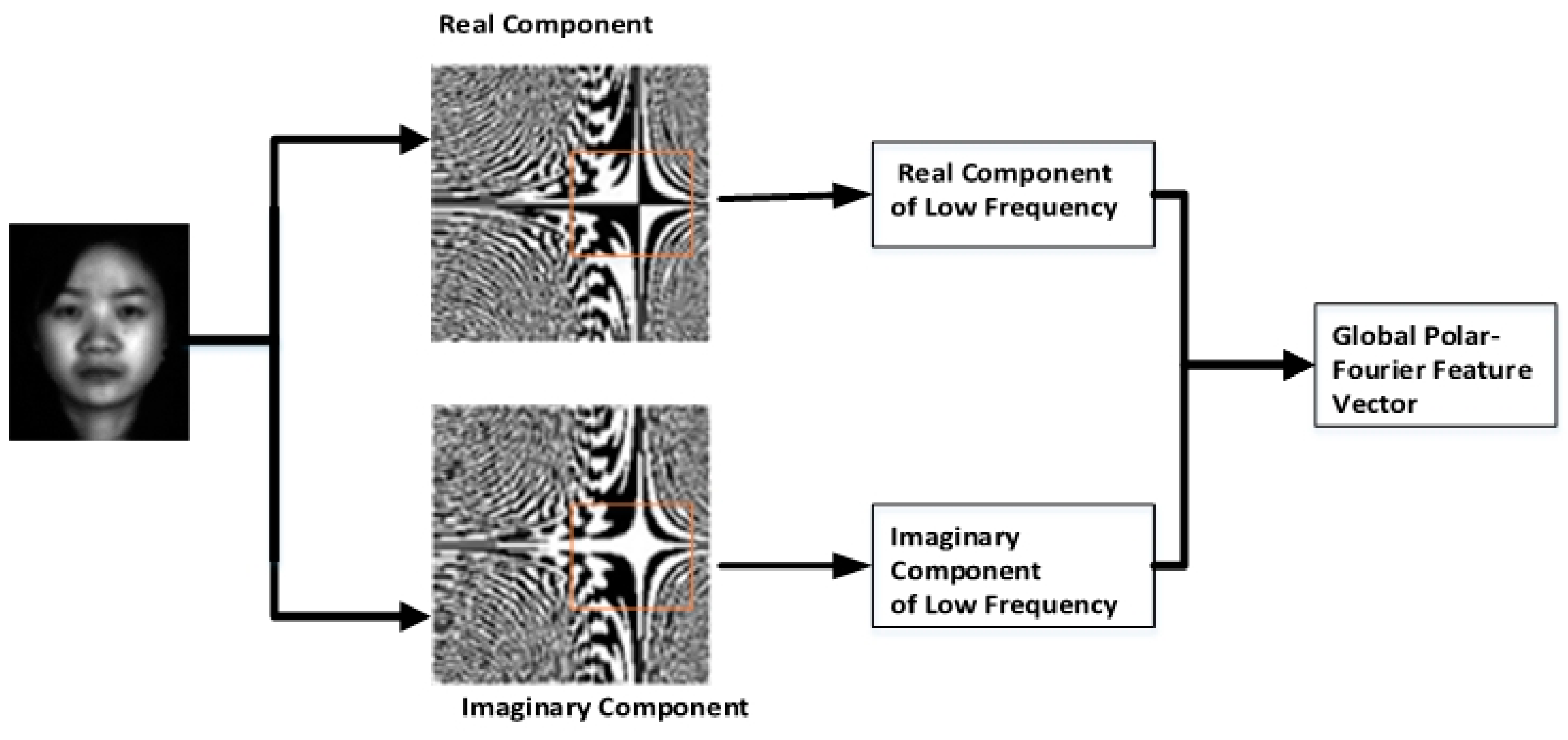 Symmetry 10 00714 g007
