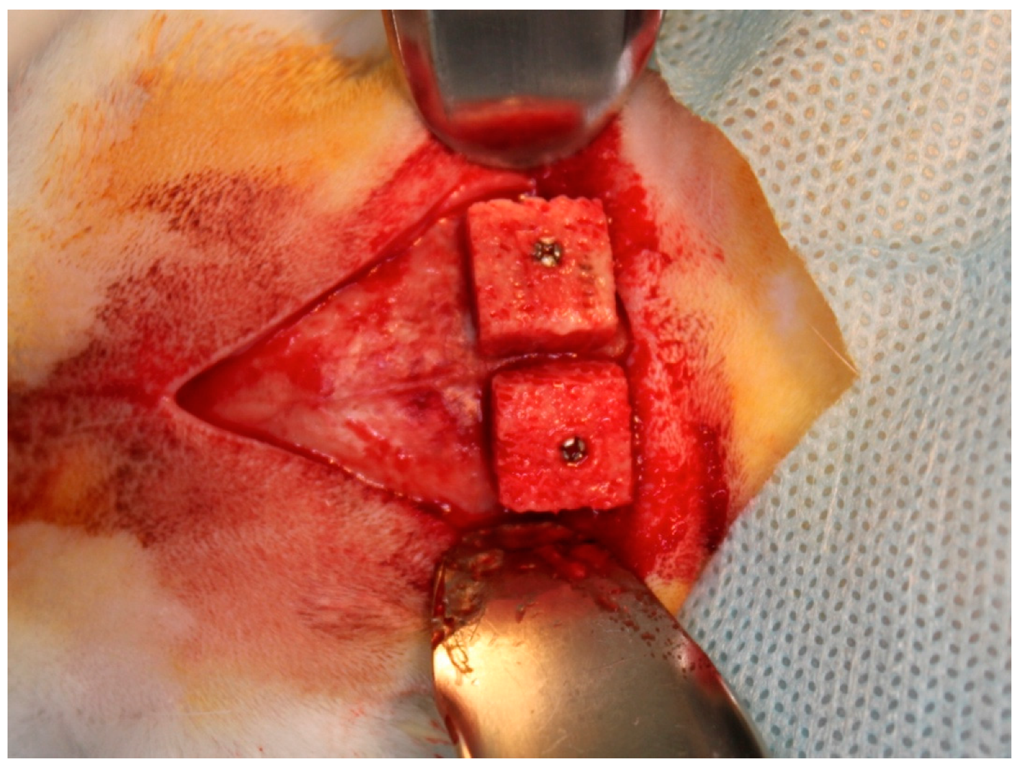 Symmetry 11 00059 g001