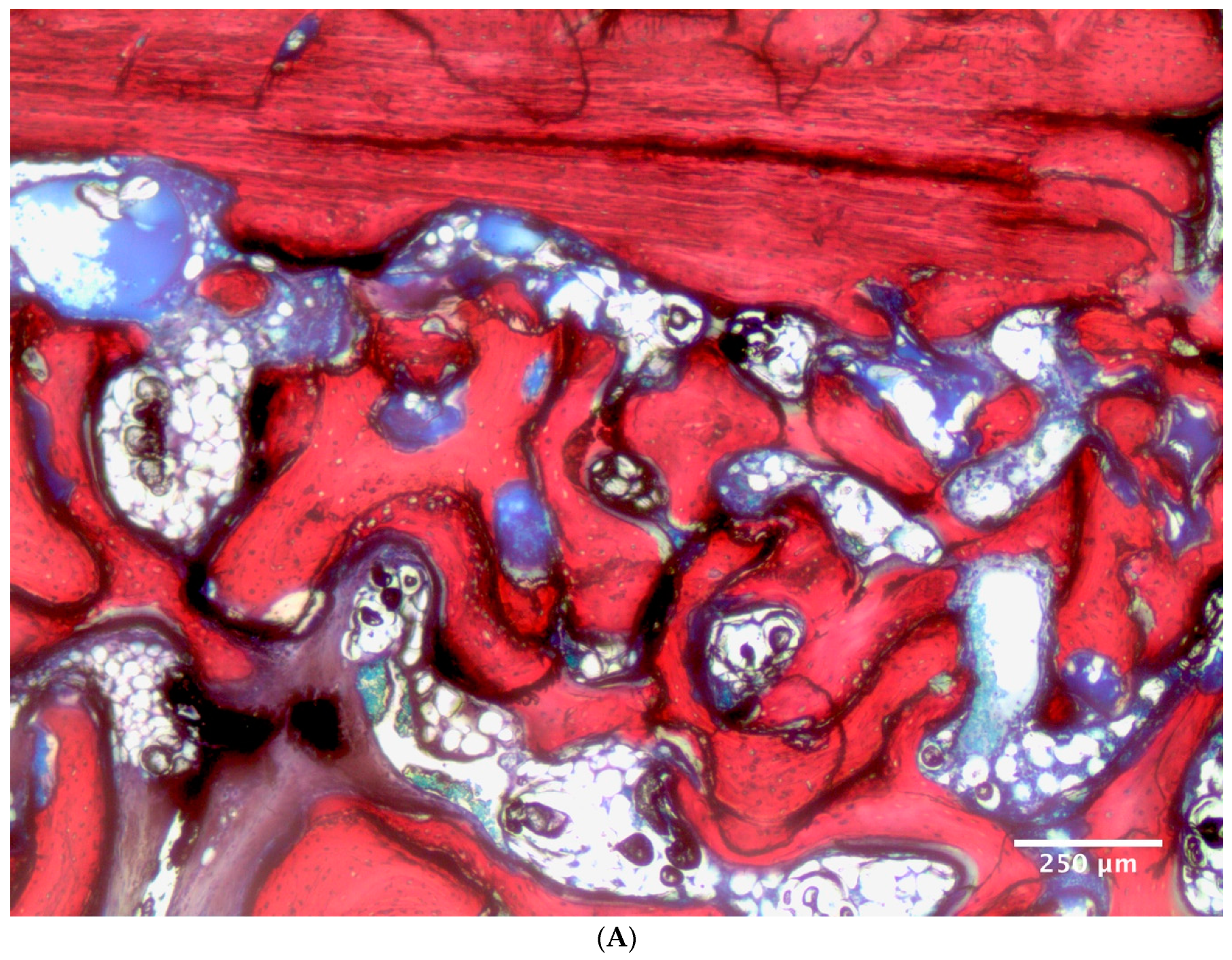 Symmetry 11 00059 g002a