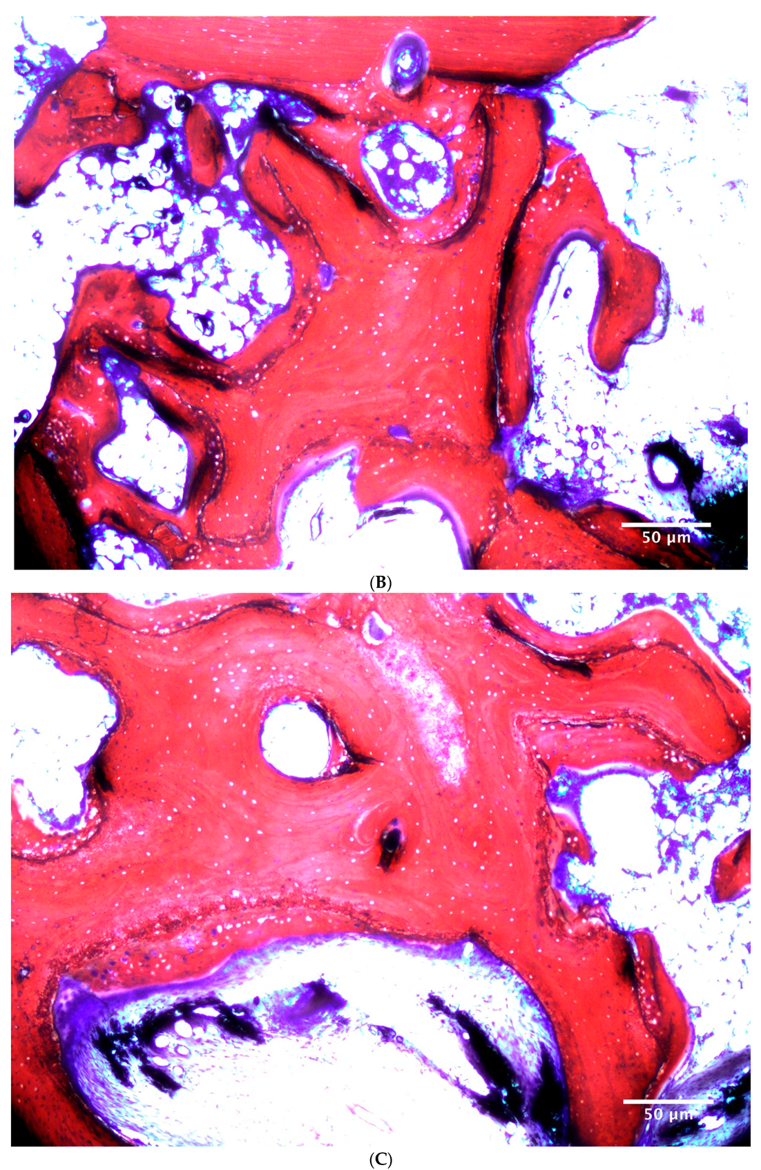 Symmetry 11 00059 g002b