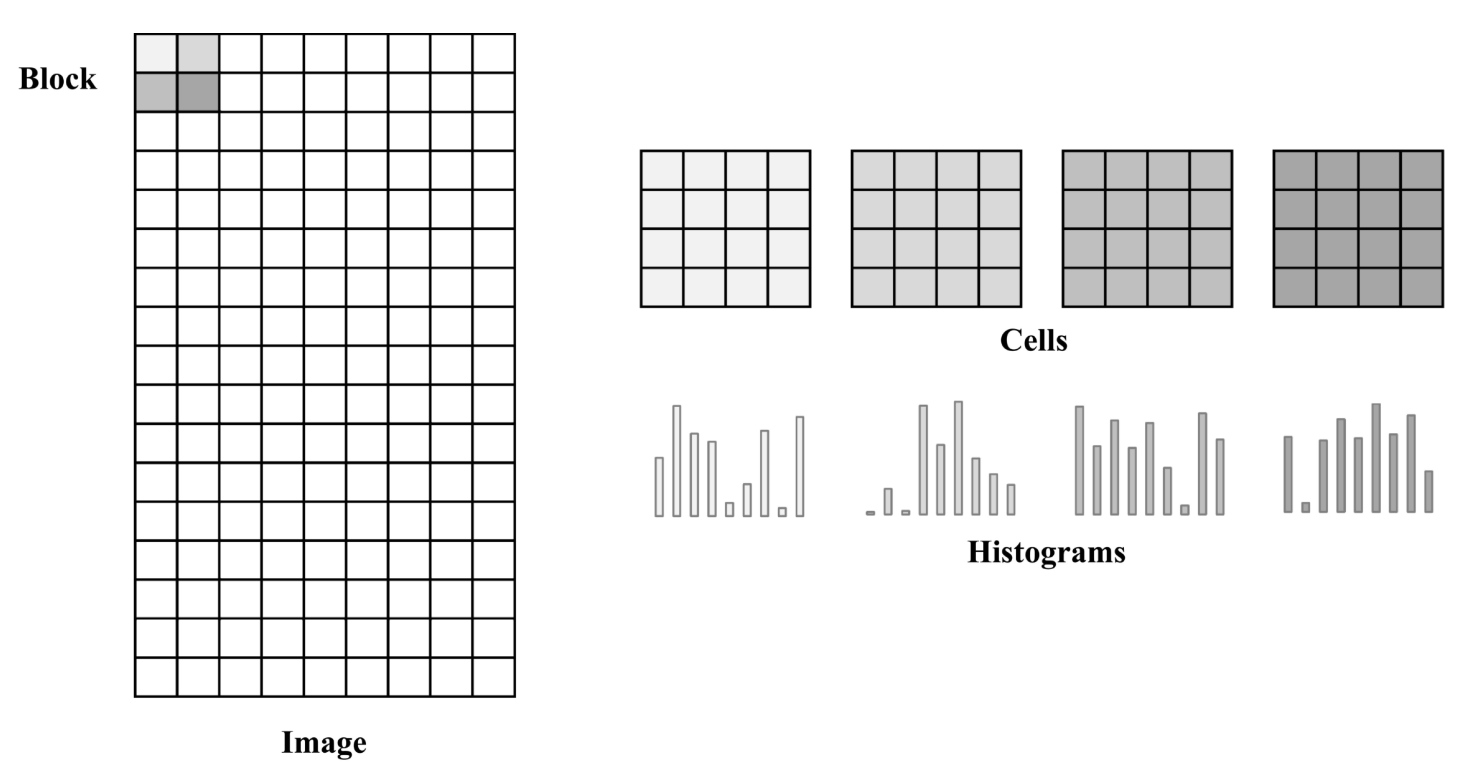 Symmetry 11 00095 g003