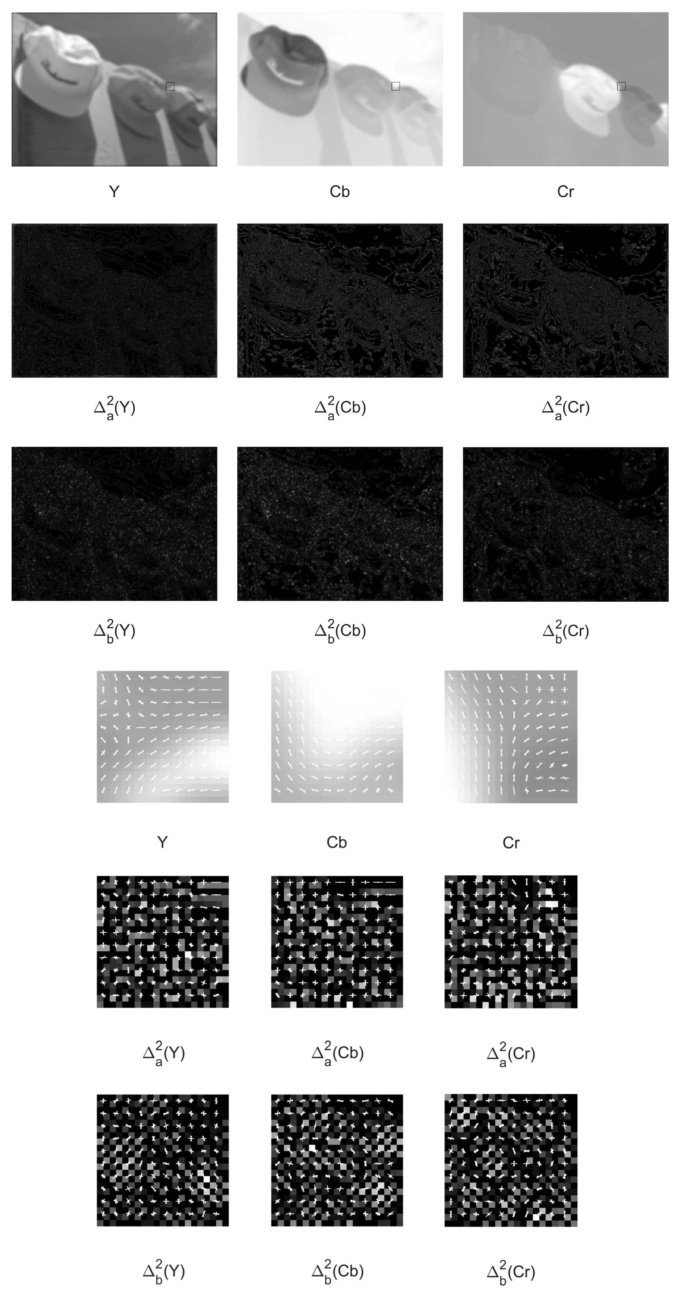 Symmetry 11 00095 g004