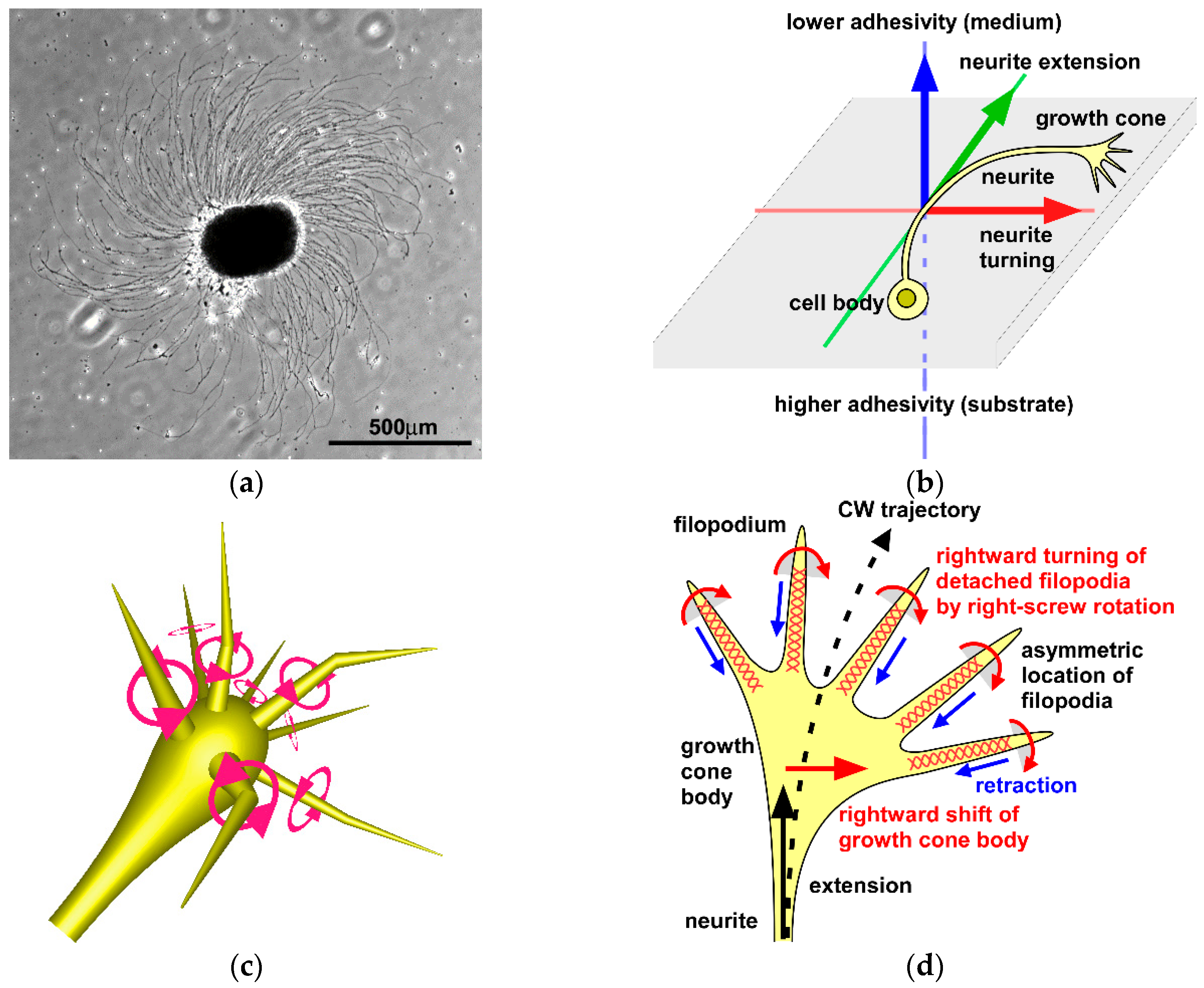 Symmetry 11 00102 g002 Symmetry 11 00102 g002