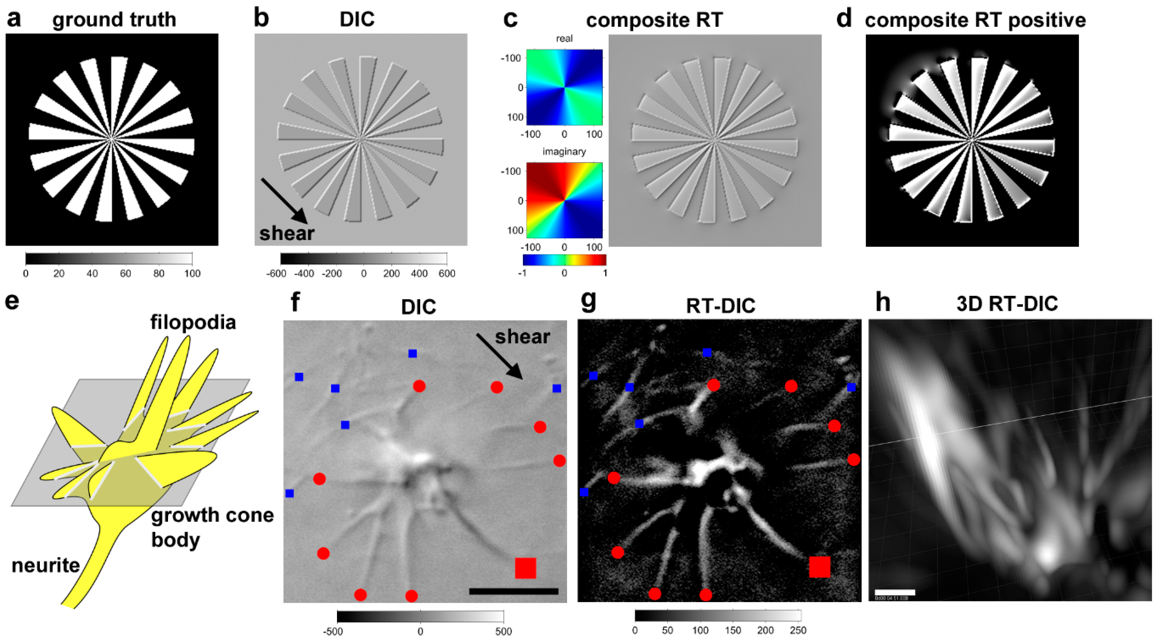 Symmetry 11 00102 g005 Symmetry 11 00102 g005