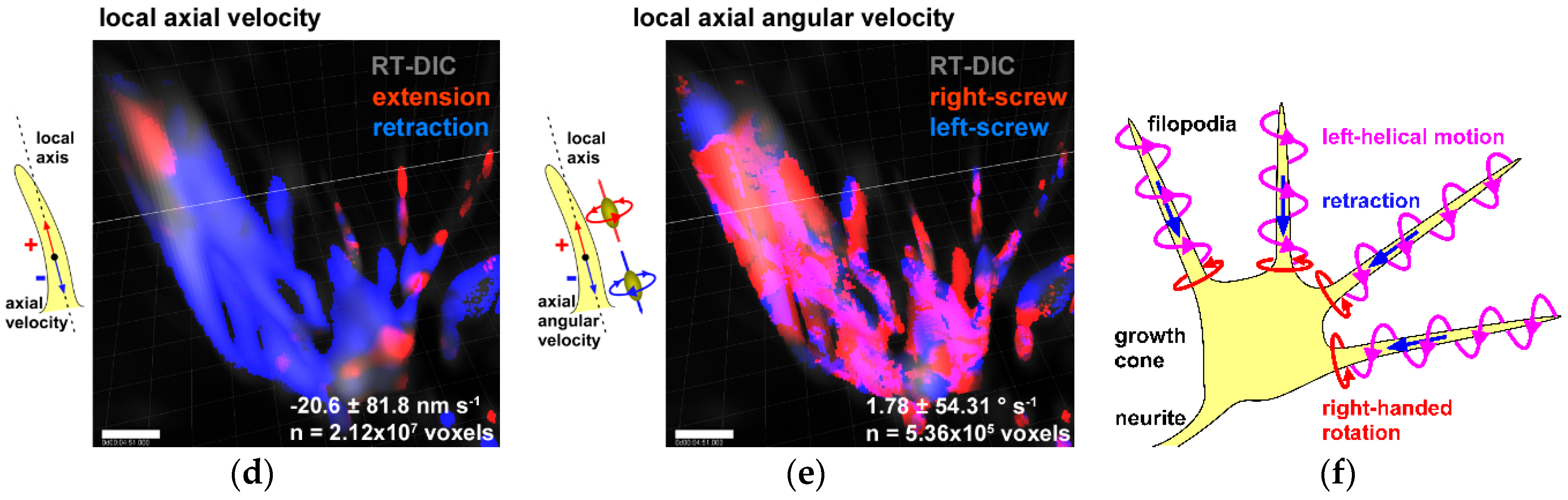 Symmetry 11 00102 g007b Symmetry 11 00102 g007b