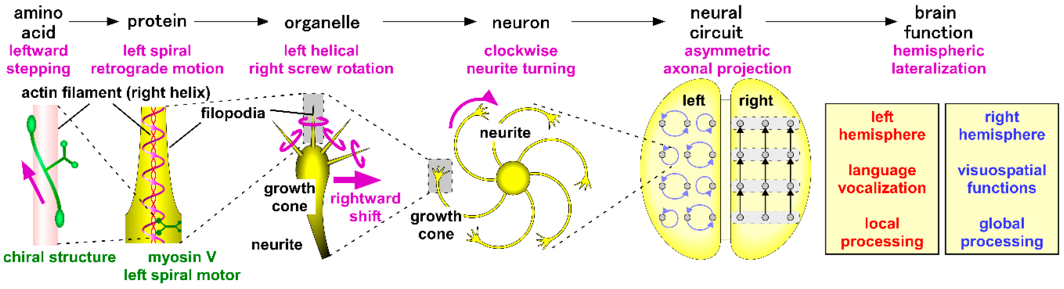 Symmetry 11 00102 g008 Symmetry 11 00102 g008
