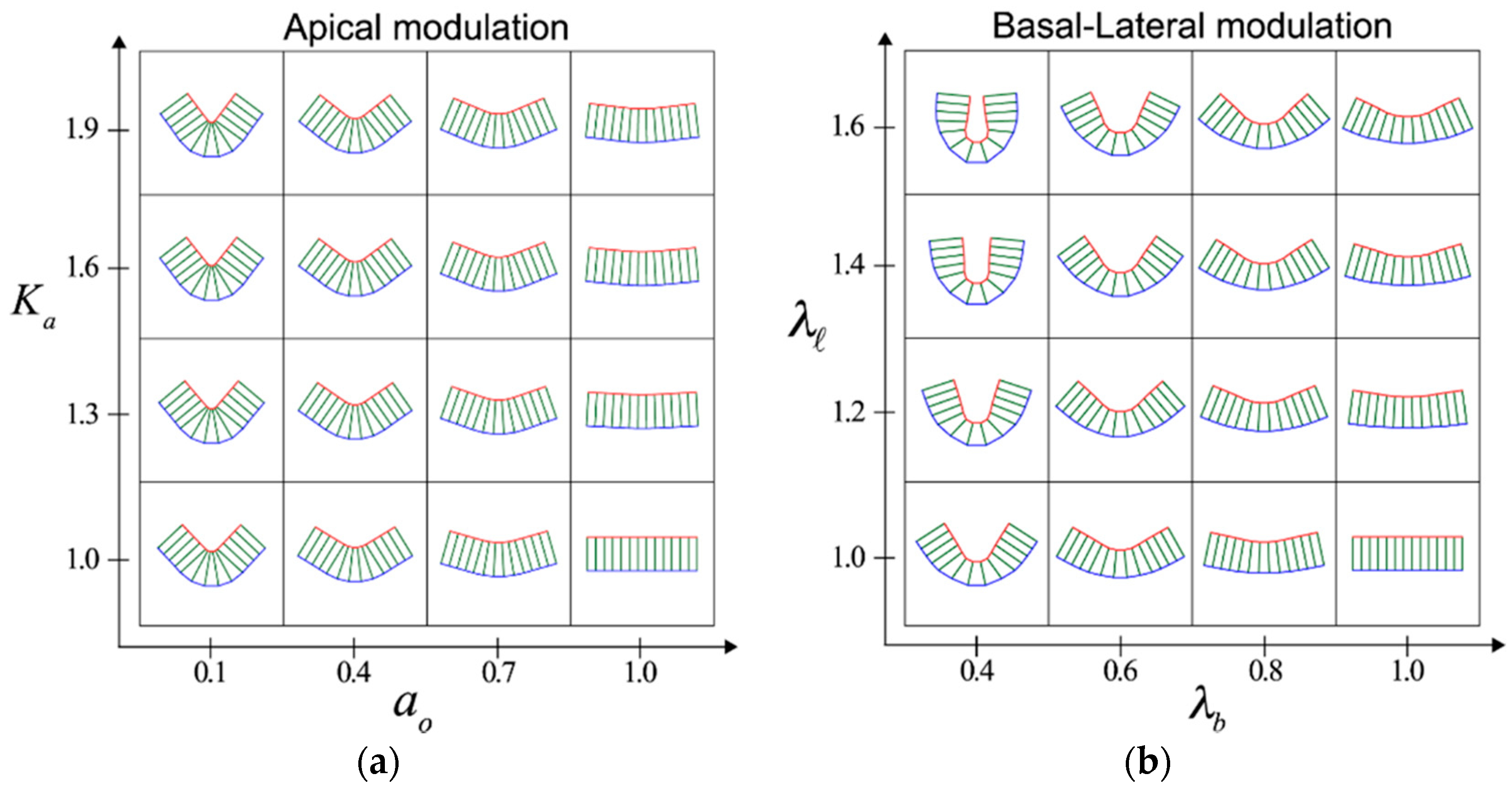 Symmetry 11 00113 g001 Symmetry 11 00113 g001